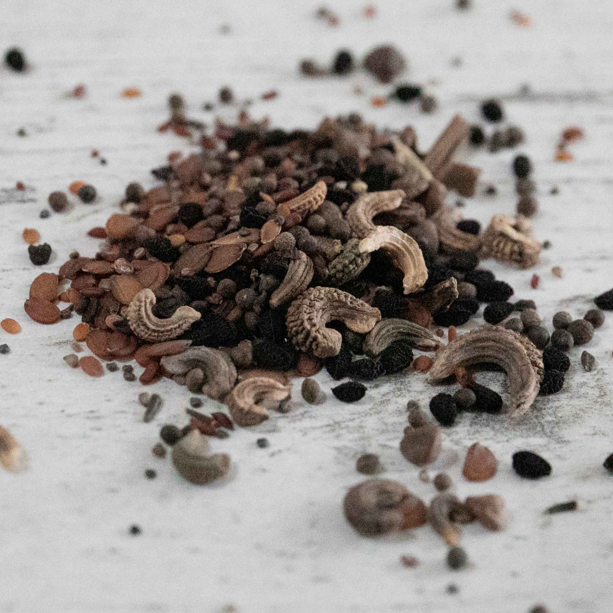 Annual Flower Seeds 'Dwarf Mix' - Image 4