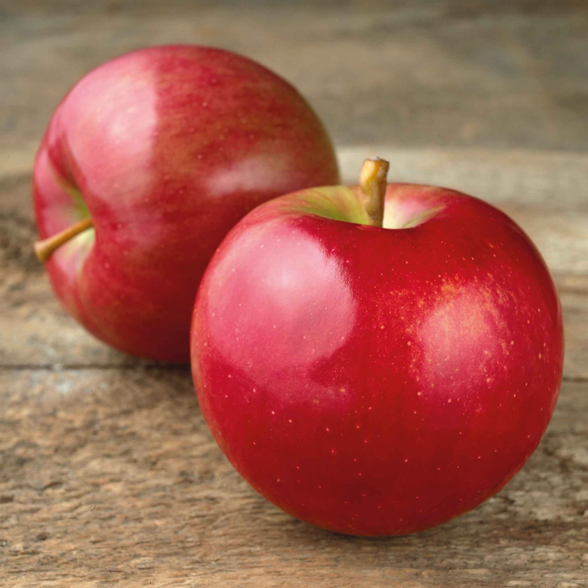Apple Twin Tree 'Braeburn & Idared' - Image 6