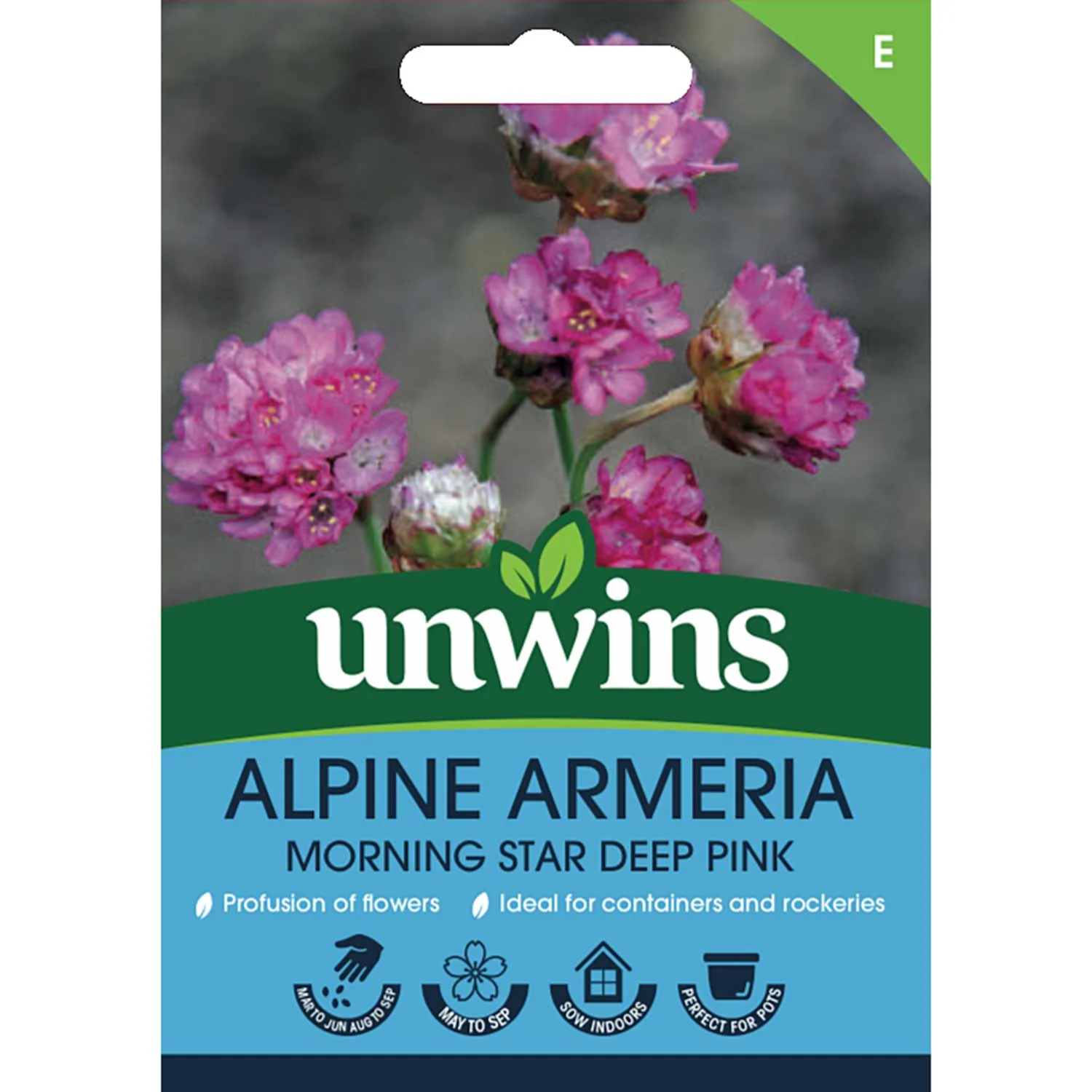 Alpine Armeria Seeds 'Morning Star Deep Pink' - Image 2
