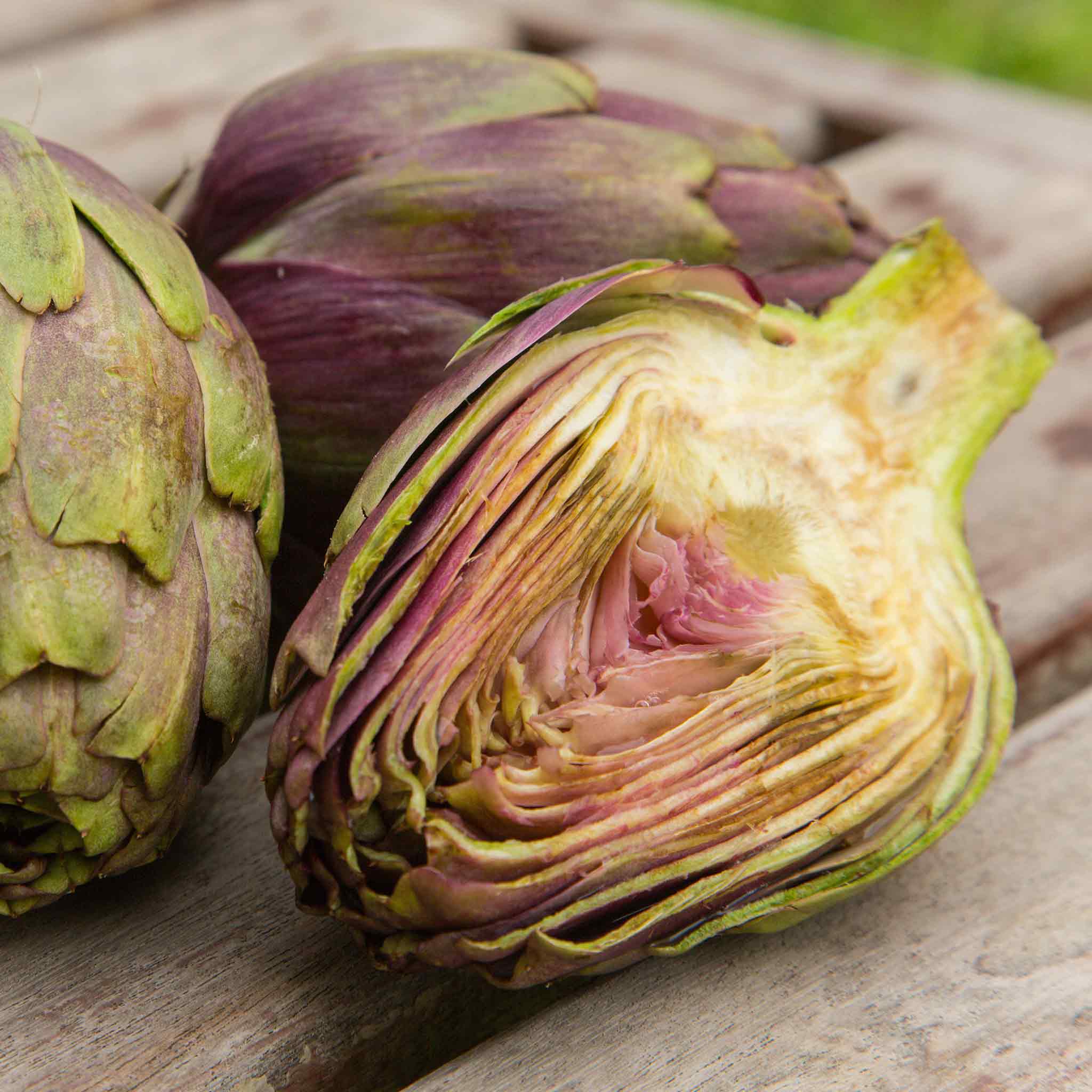 Artichoke 'Violet Globe' - Image 7