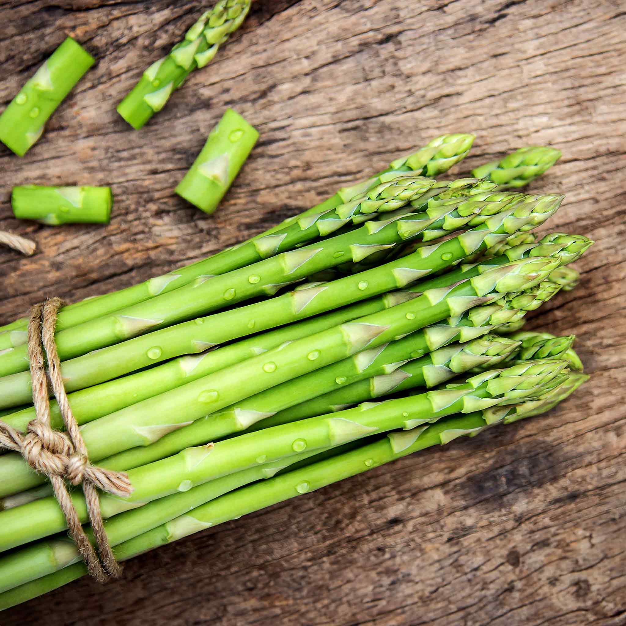 Asparagus Crown 'Long Season' Collection - Image 3
