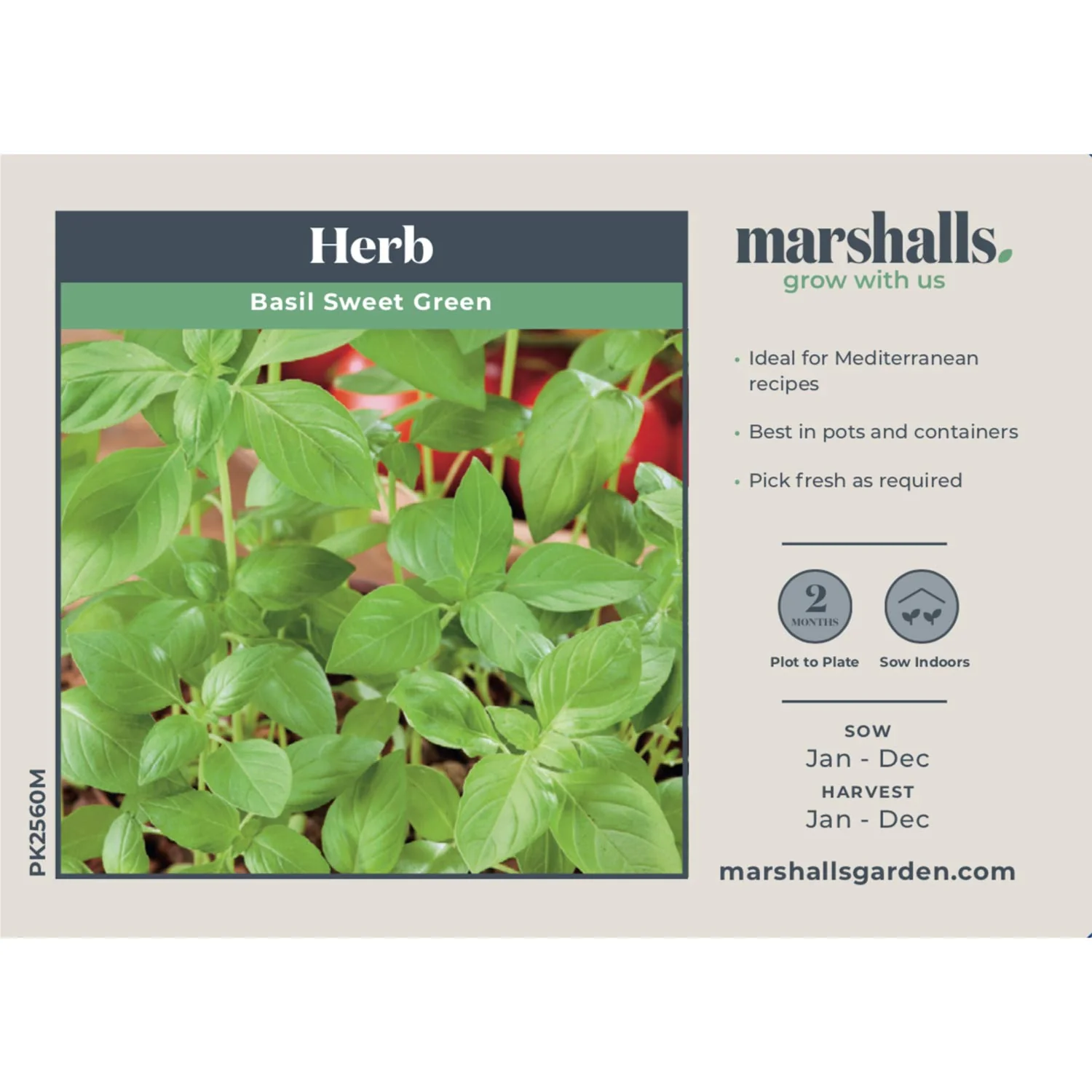 Basil Seeds 'Sweet Green' - Image 3