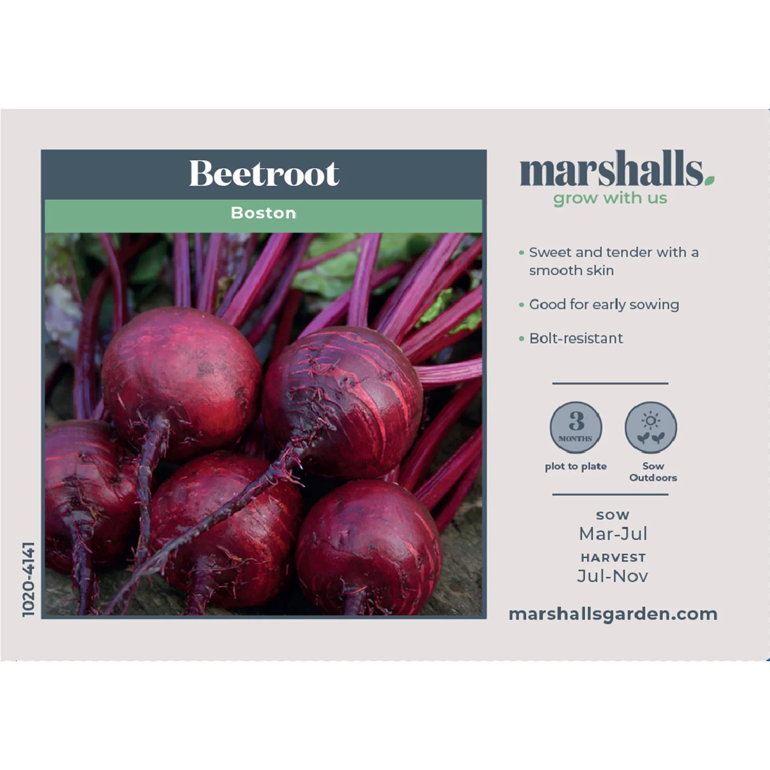 Beetroot Seeds 'Boston' - Image 6