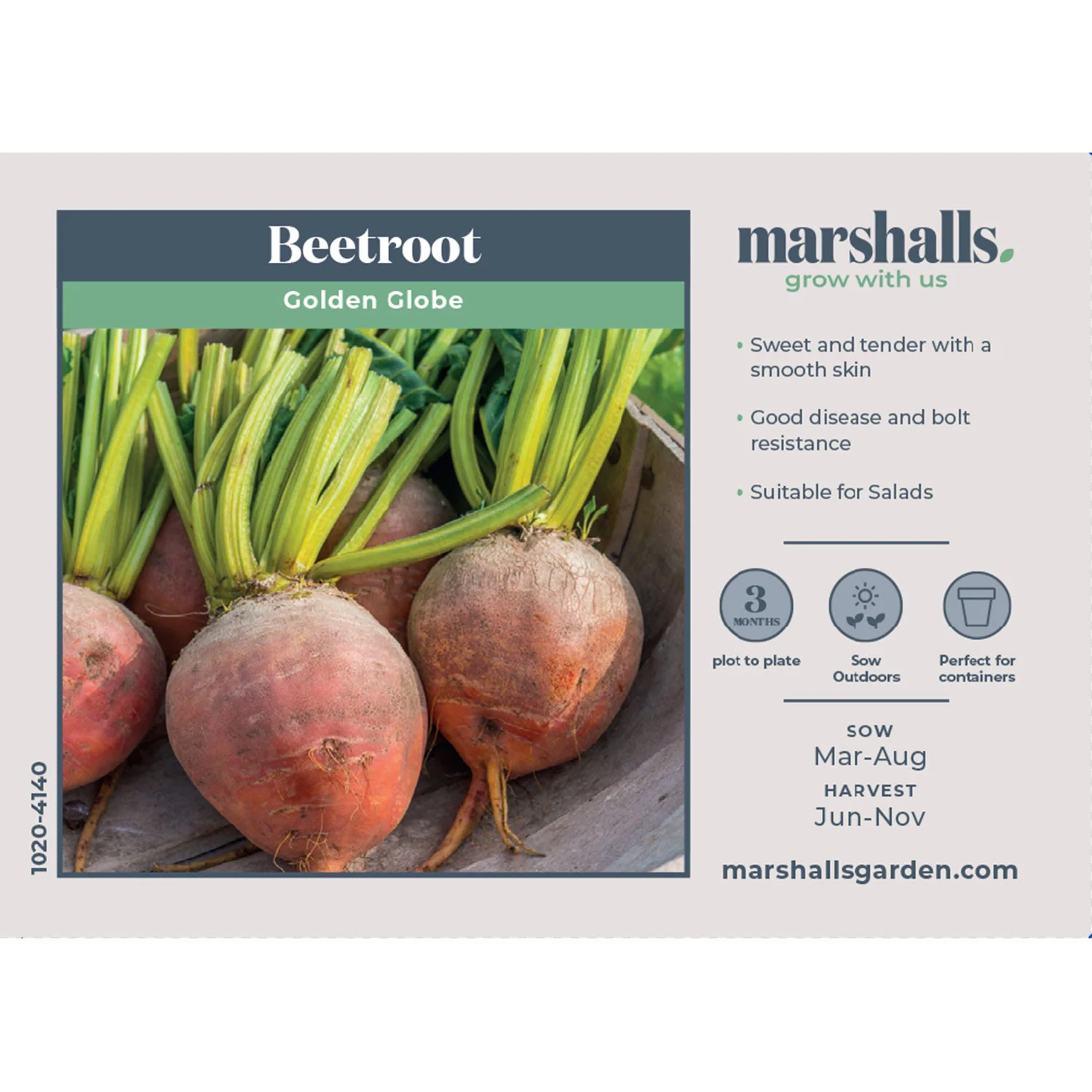 Beetroot Seeds 'Golden Globe' - Image 6
