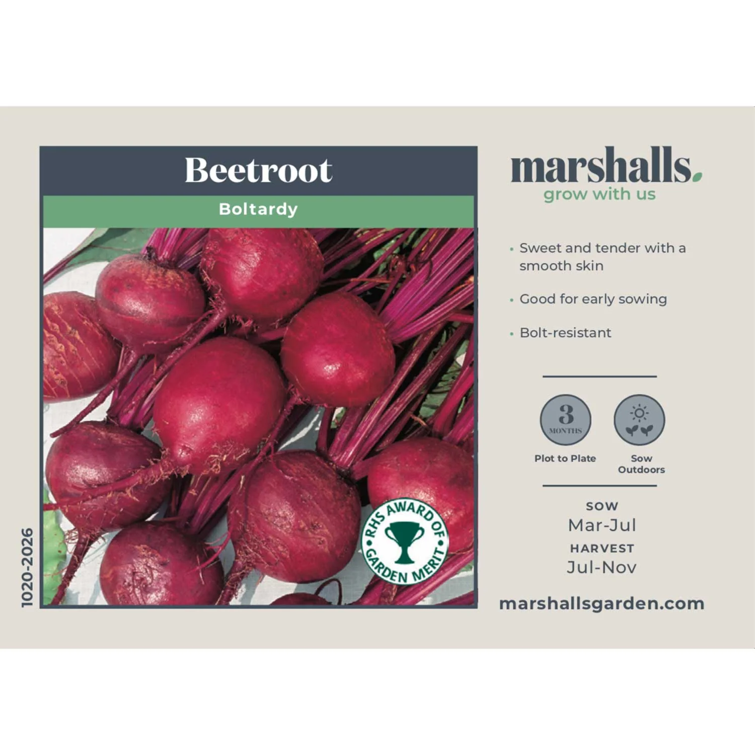 Beetroot Seeds 'Boltardy' - Image 4