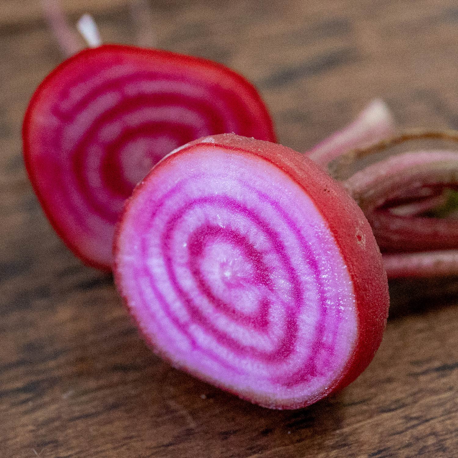 Beetroot Seeds 'Chioggia' - Image 2