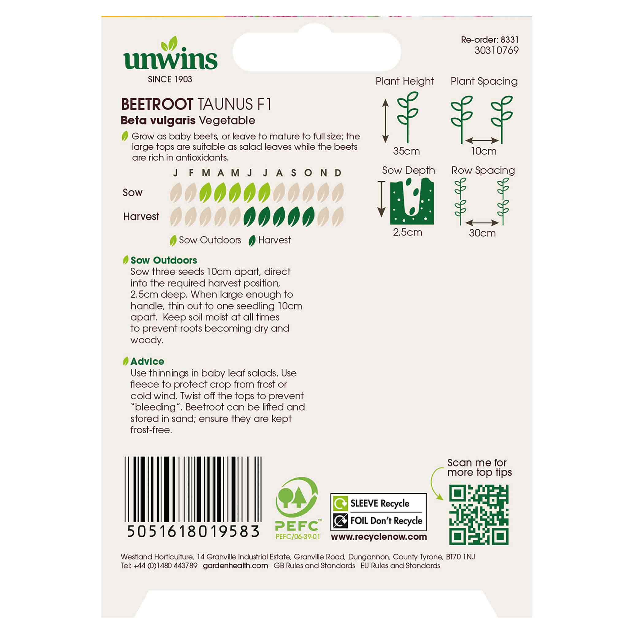 Beetroot Seeds 'Taunus' F1 - Image 3