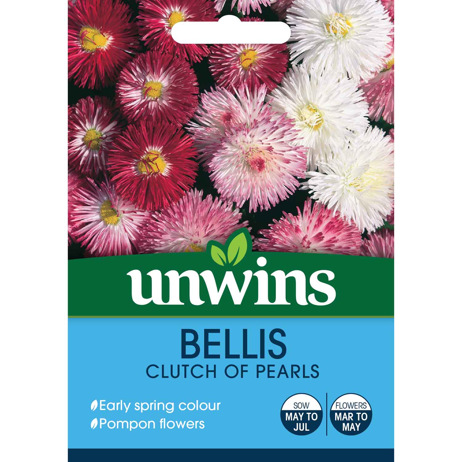 Bellis Seeds 'Clutch of Pearls' - Image 2