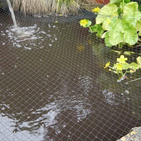 Garden Netting 4m x 10m - Image 4