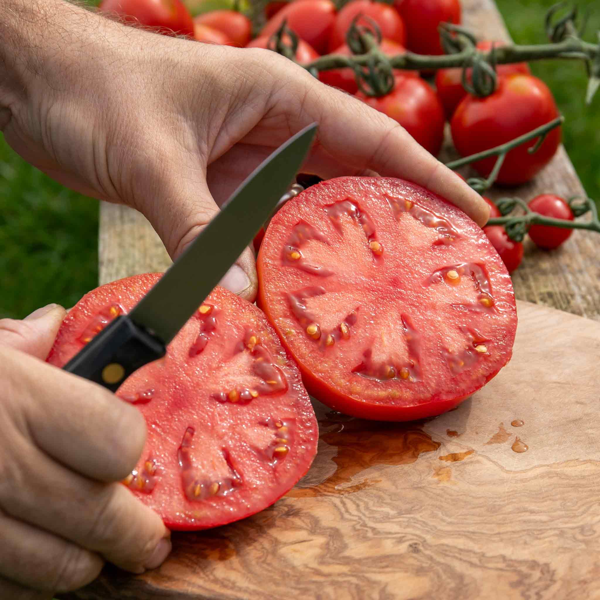 Bush Tomato 'Super Marmande' - Image 3
