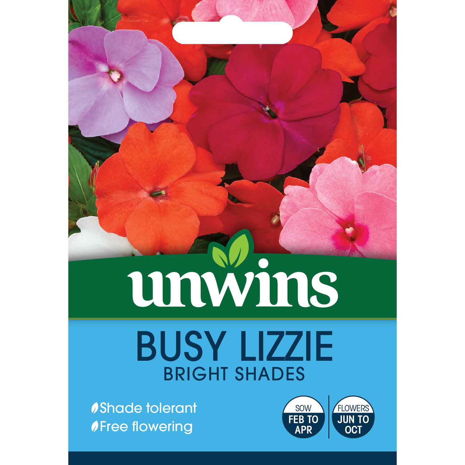Busy Lizzie Seeds 'Bright Shades' - Image 2
