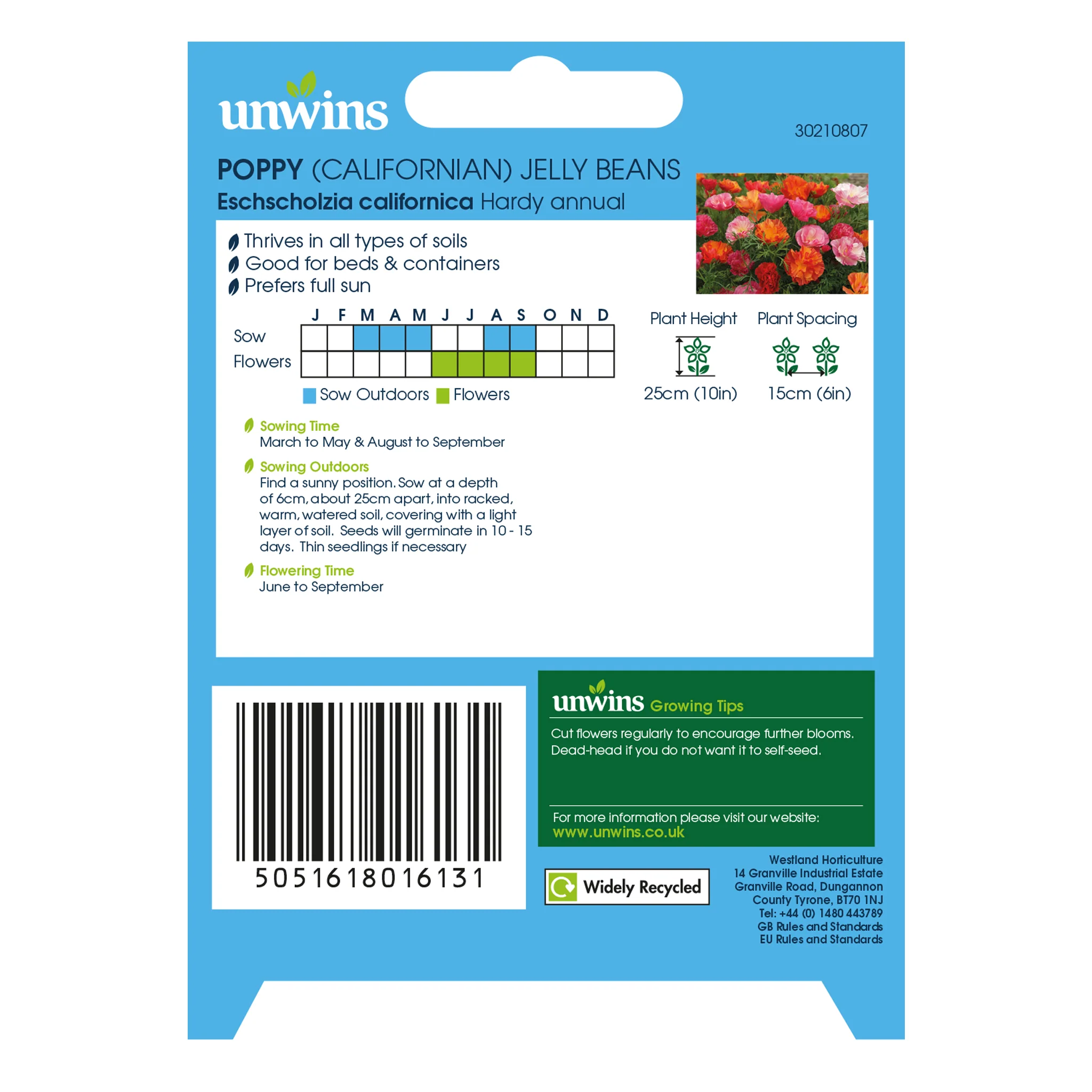 Californian Poppy Seeds 'XL Jelly Beans' - Image 3