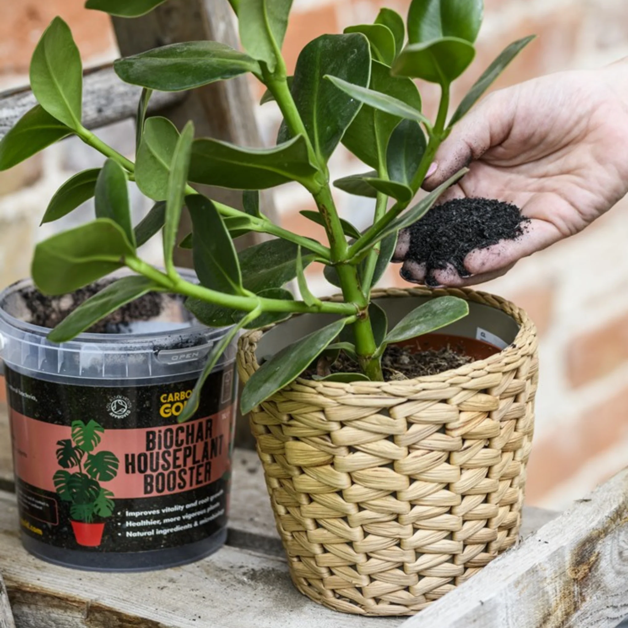 Carbon Gold Biochar Houseplant Booster - Image 2