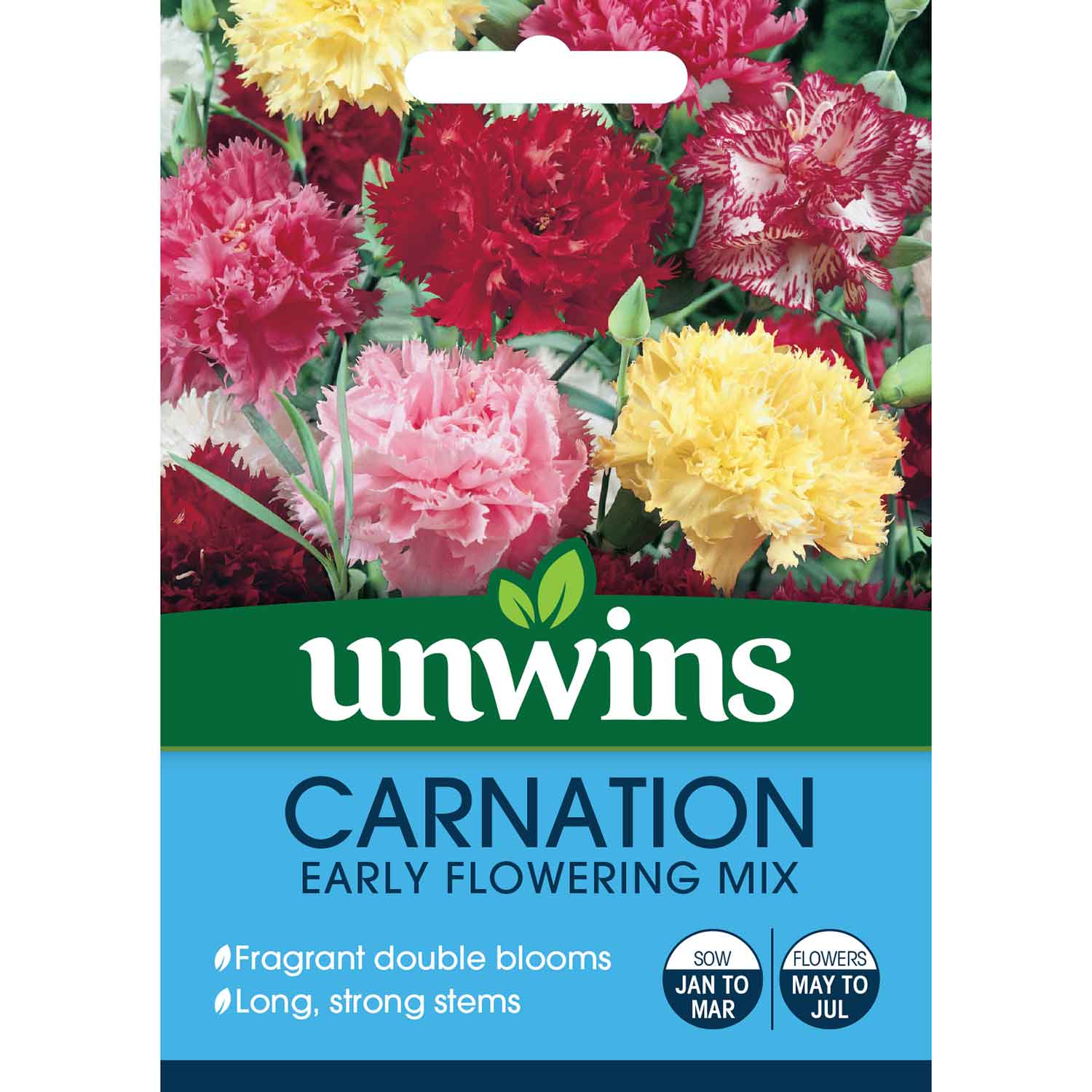 Carnation Seeds 'Early Flowering Mix' - Image 2