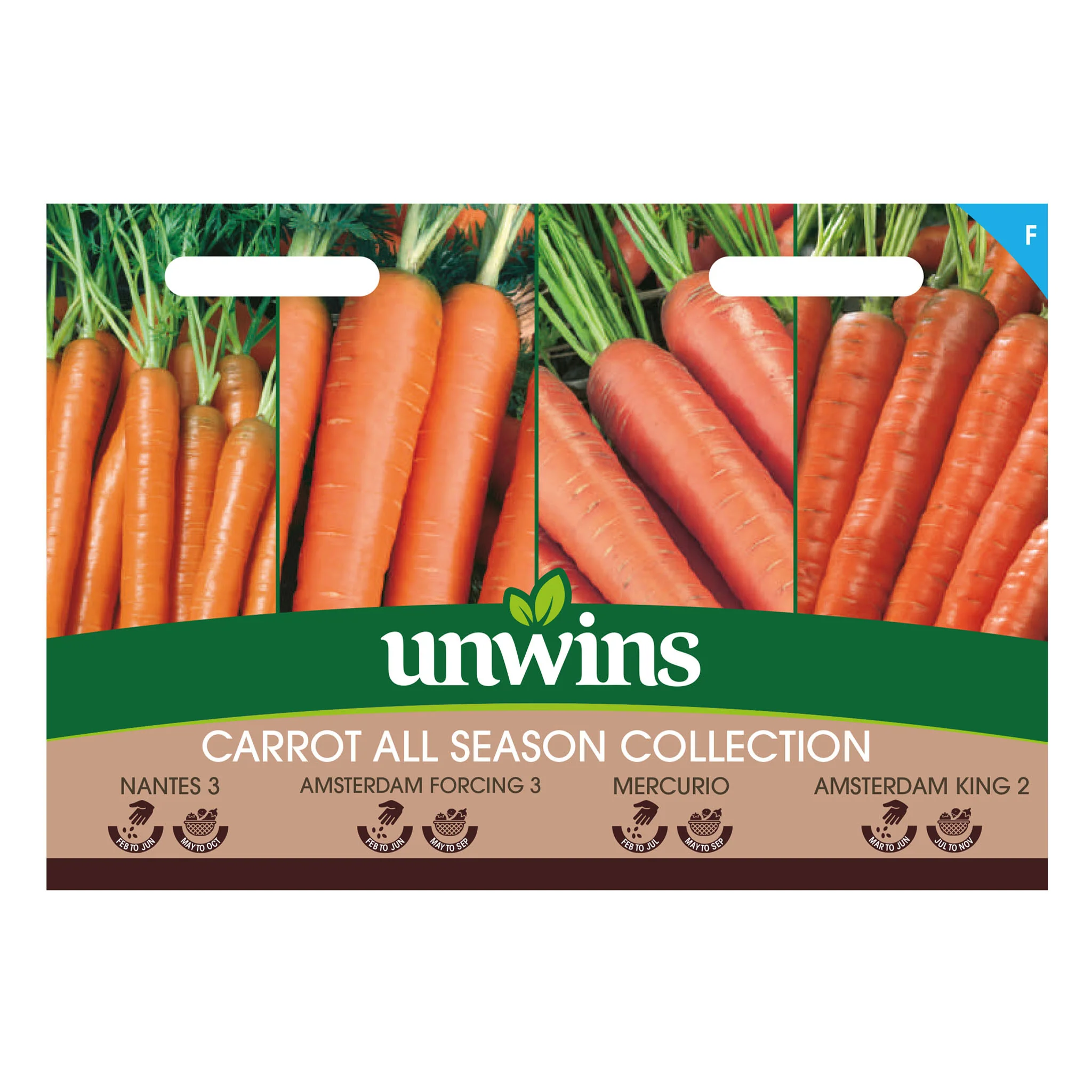 Carrot Seeds 'All Season' Collection - Image 2