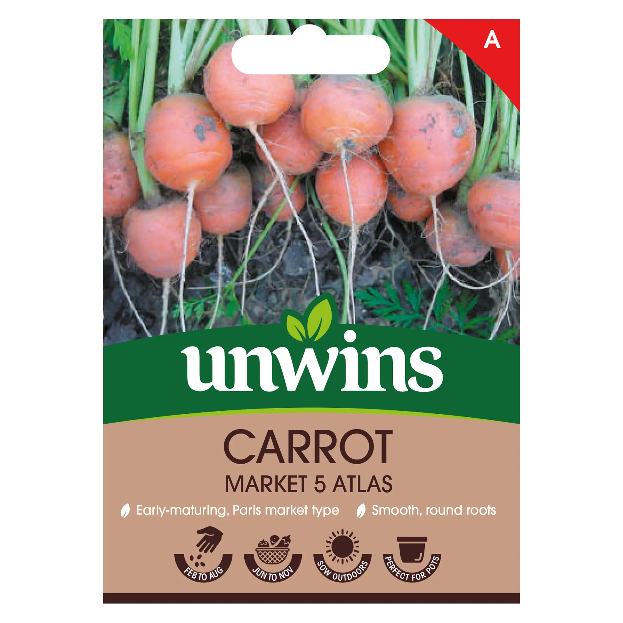 Carrot Seeds 'Market 5 Atlas' - Image 3