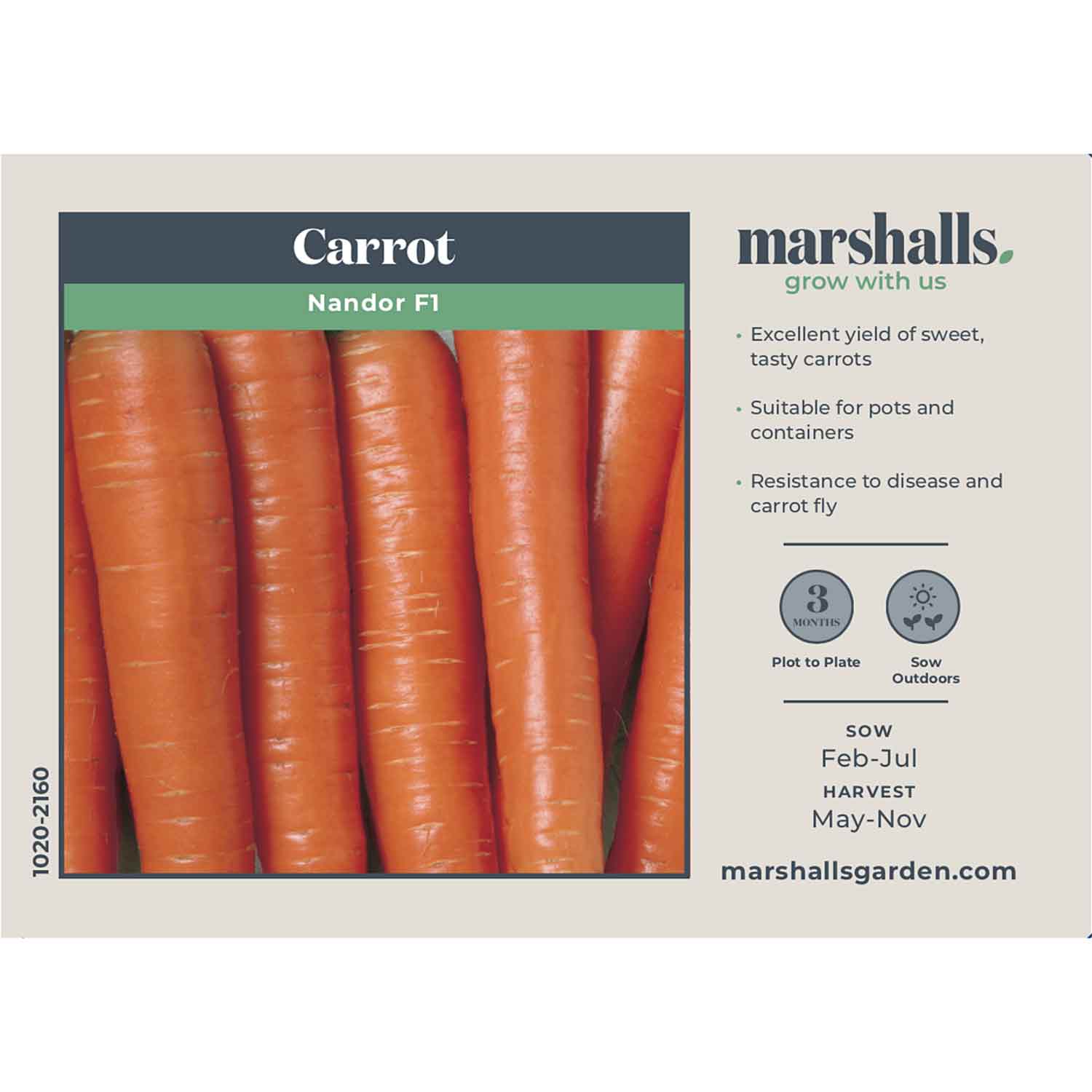 Carrot Seeds 'Nandor' F1 - Image 2