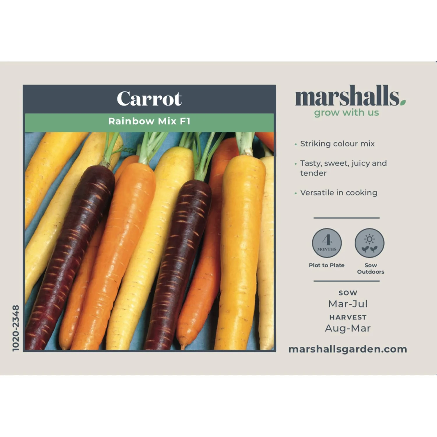 Carrot Seeds 'Rainbow Mix' F1 - Image 3