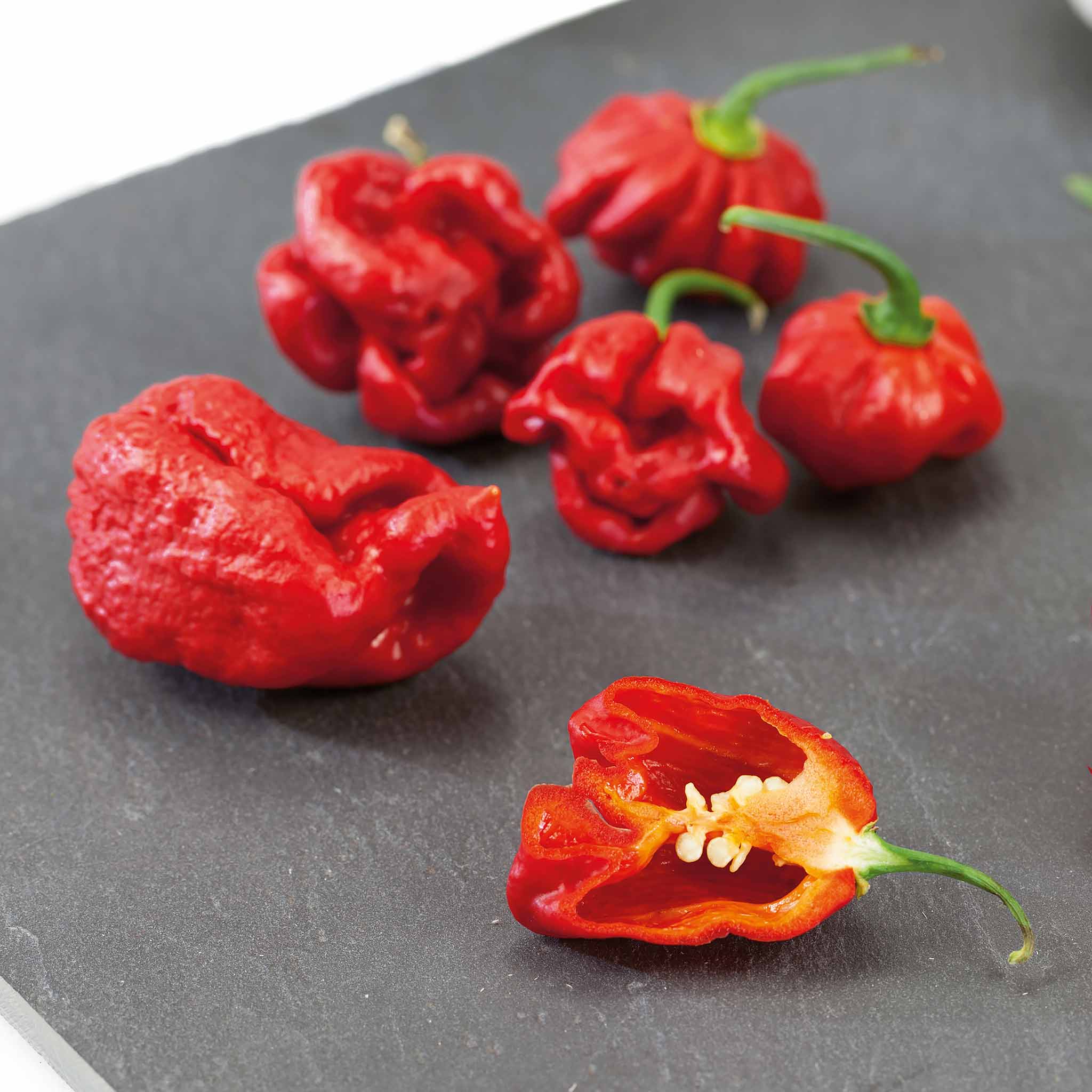 Chilli 'Carolina Reaper' - Image 4