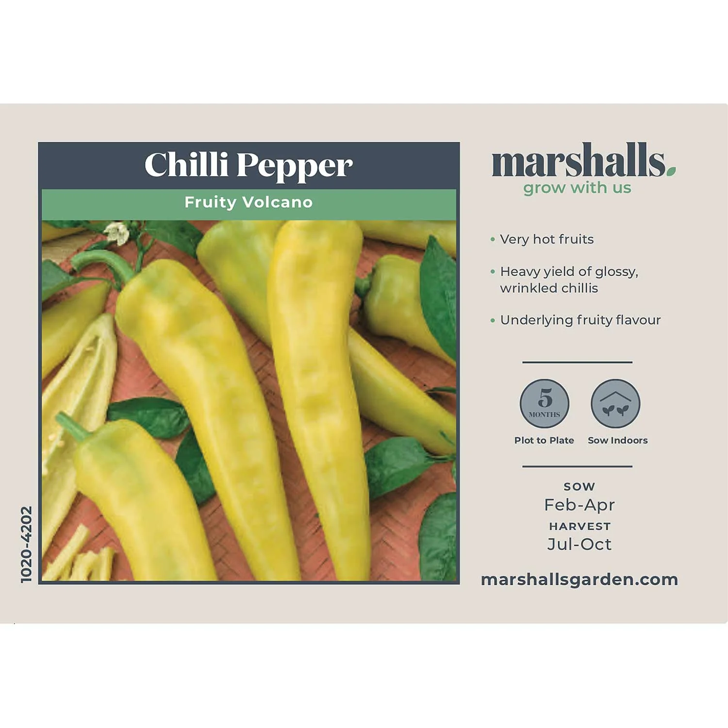 Chilli Pepper Seeds 'Fruity Volcano' - Image 4