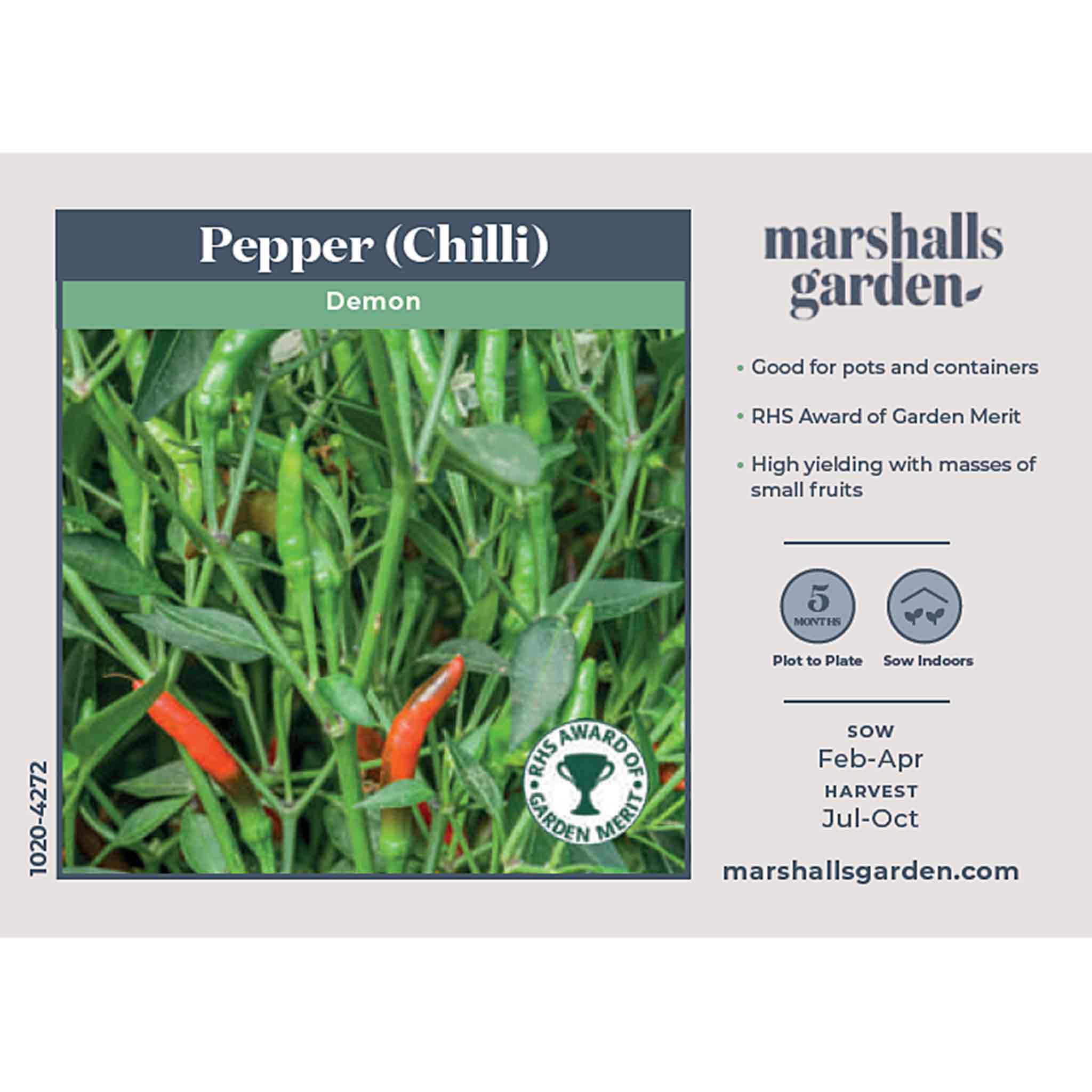 Chilli Seeds 'Demon' - Image 2