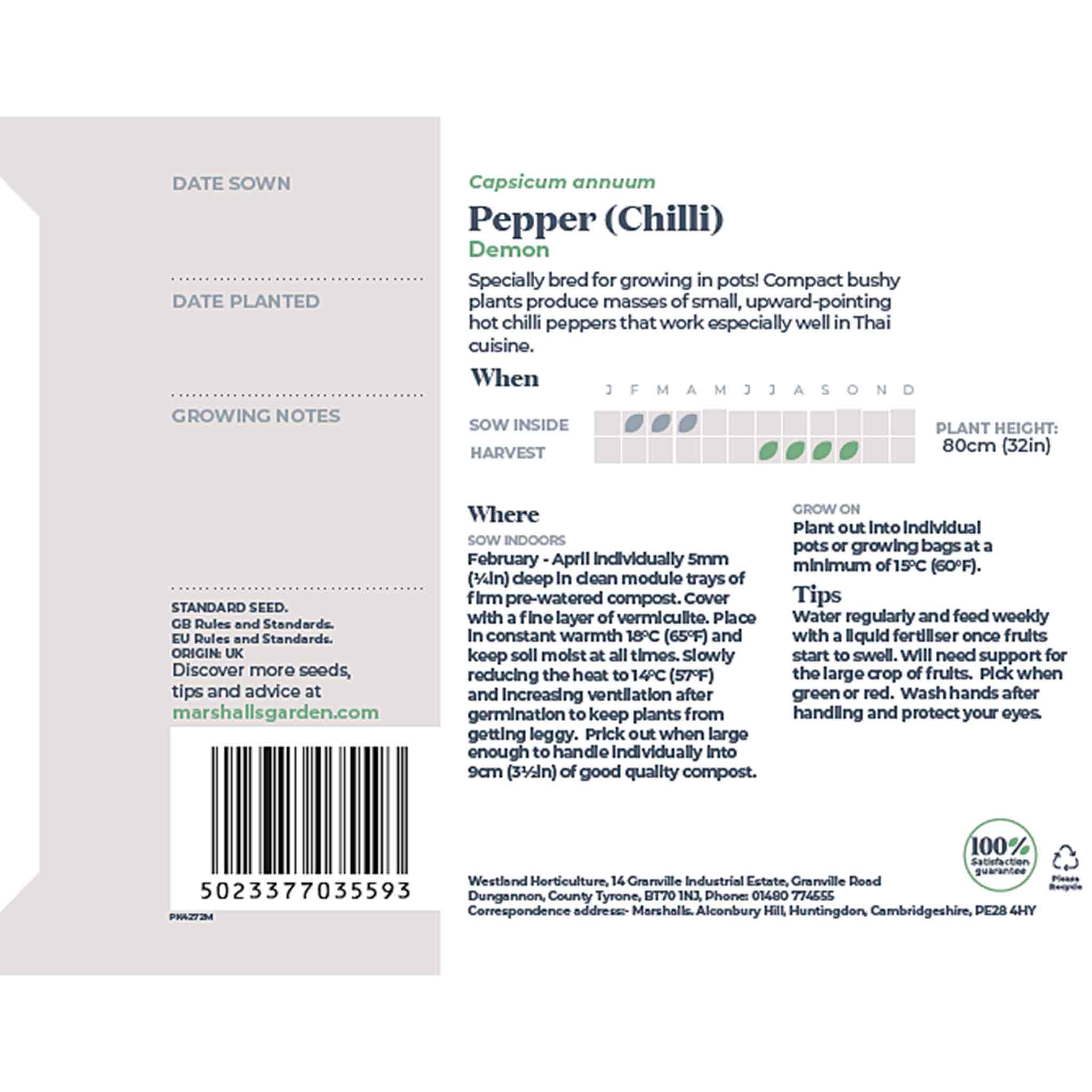 Chilli Seeds 'Demon' - Image 3