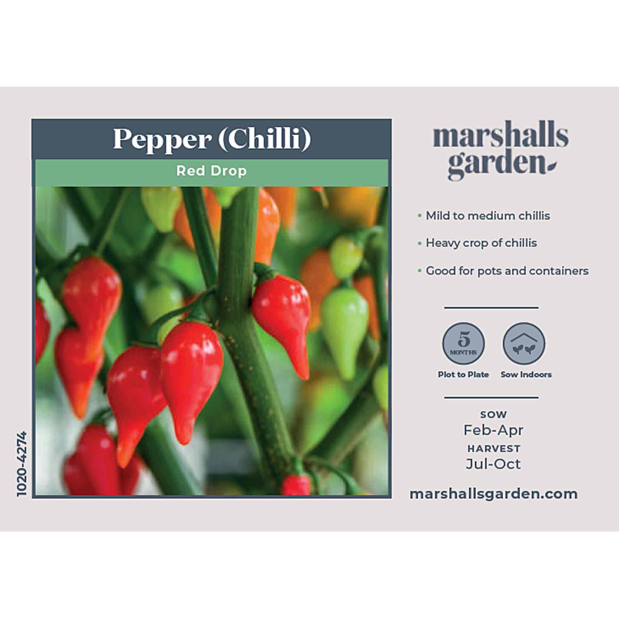 Chilli Seeds 'Red Drop' - Image 2