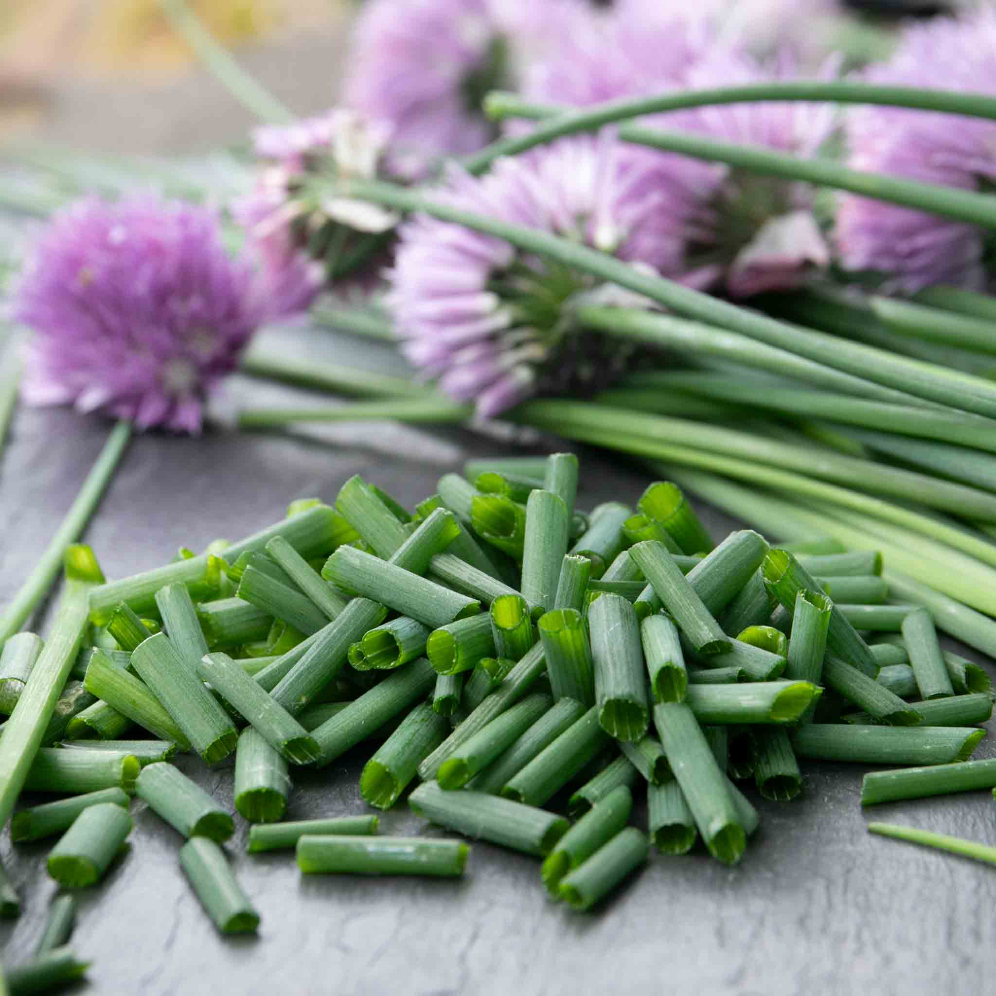 Chive Plant - Image 8