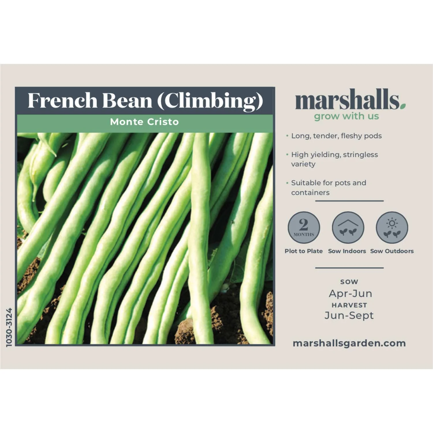 French Bean Climbing Seeds 'Monte Cristo' - Image 2