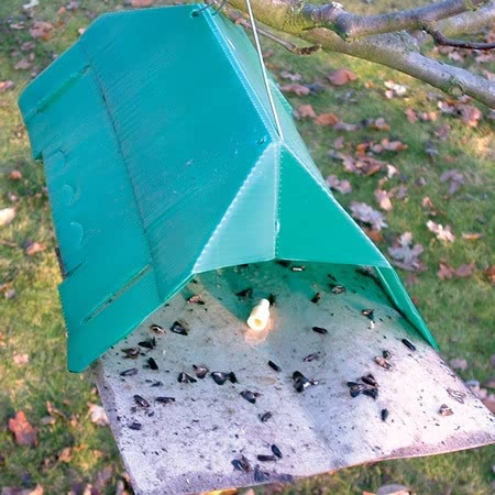 Codling Moth Trap - Image 2
