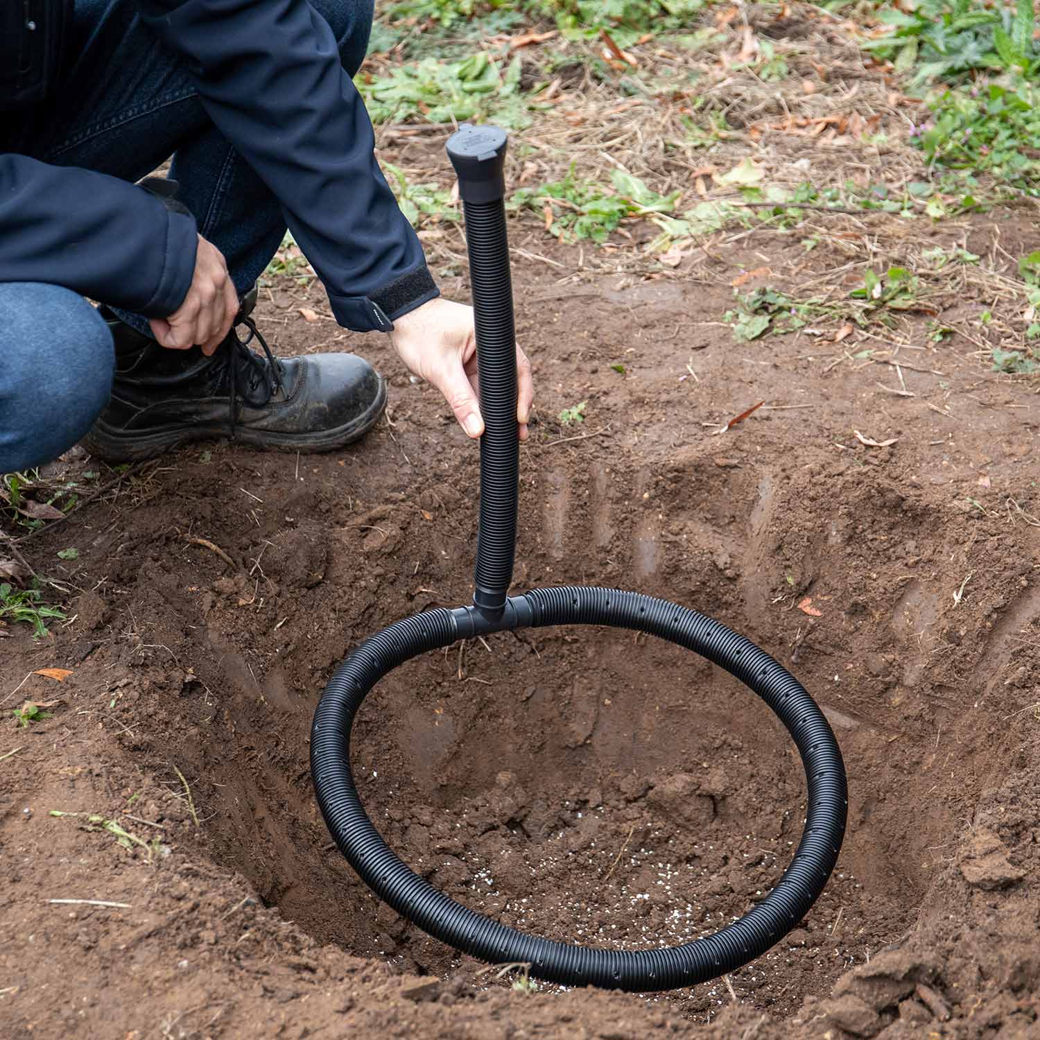 Complete Tree Planting Kit for All Trees - Image 3