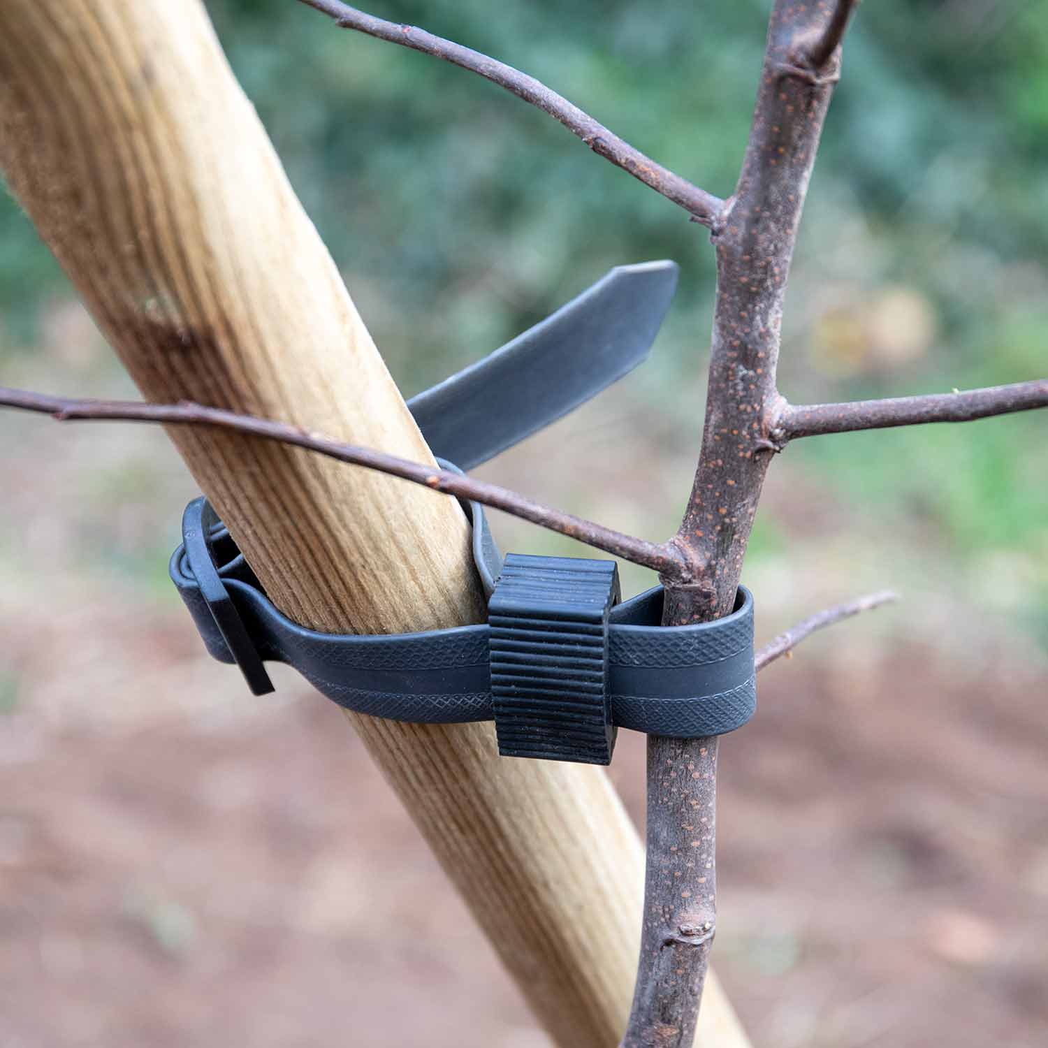 Complete Tree Planting Kit for All Trees - Image 5