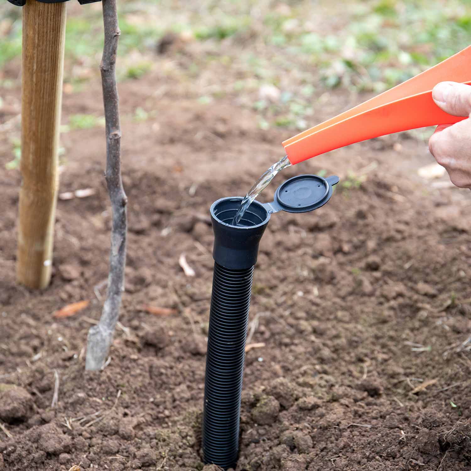 Complete Tree Planting Kit for All Trees - Image 7