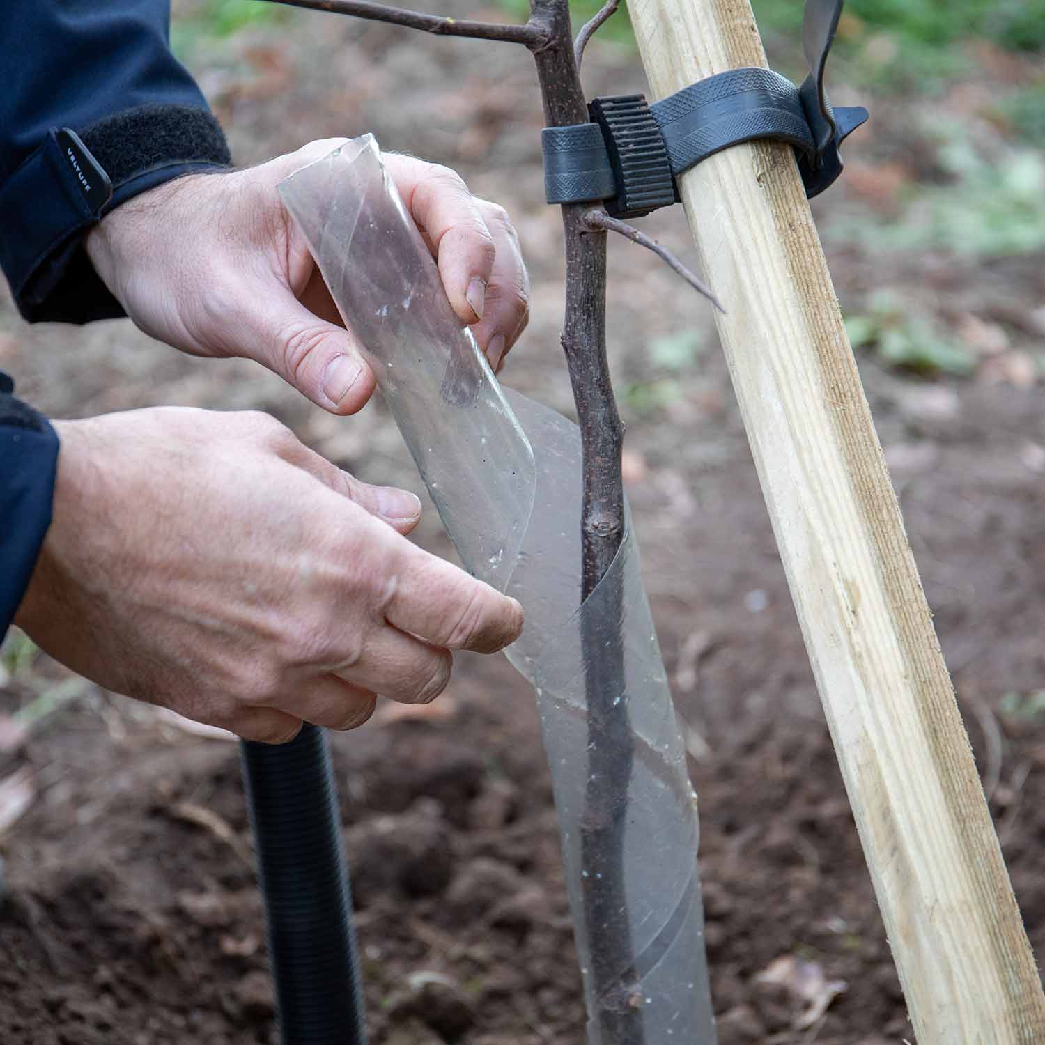Complete Tree Planting Kit for All Trees - Image 8