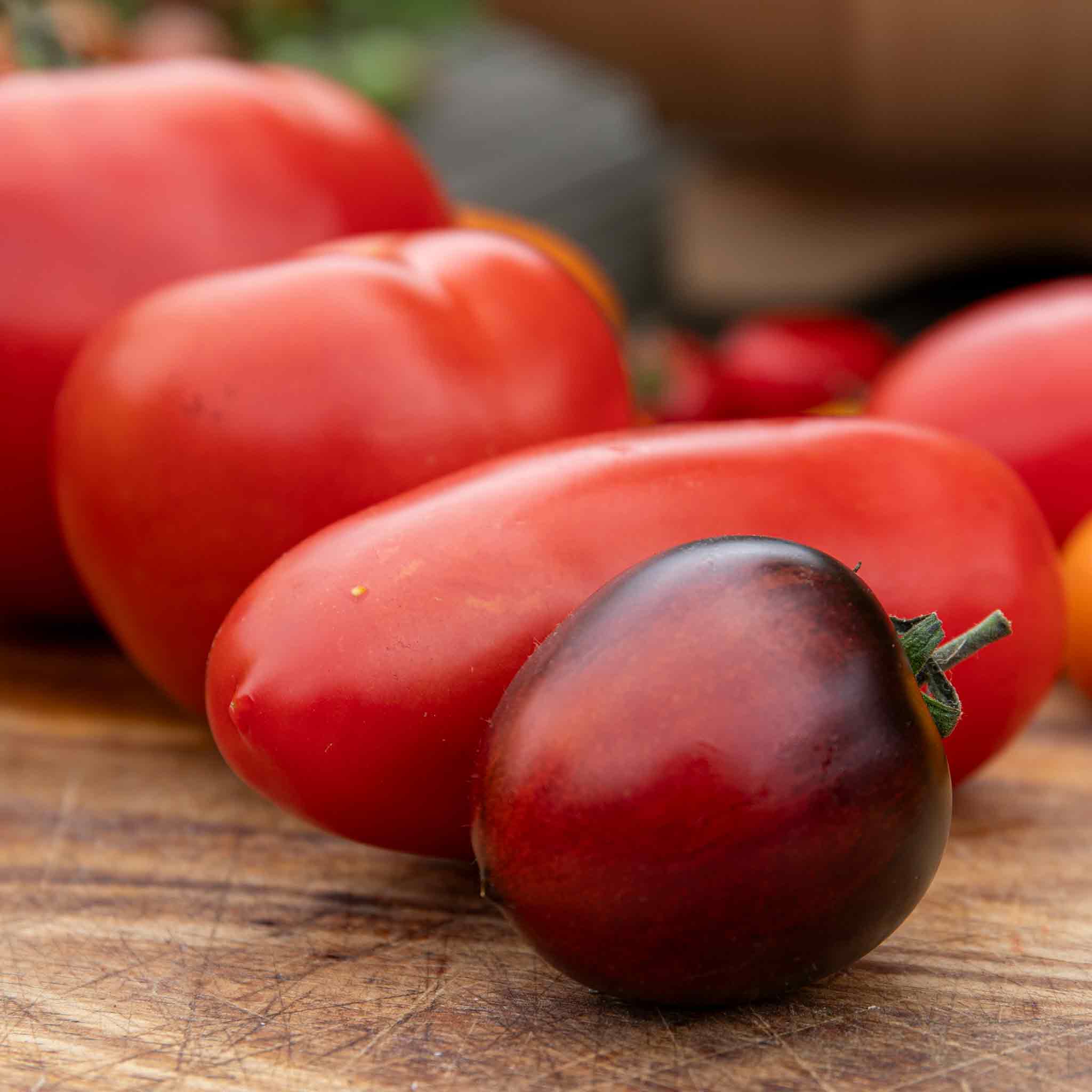 Cordon Tomato 'Black Moon' - Image 7
