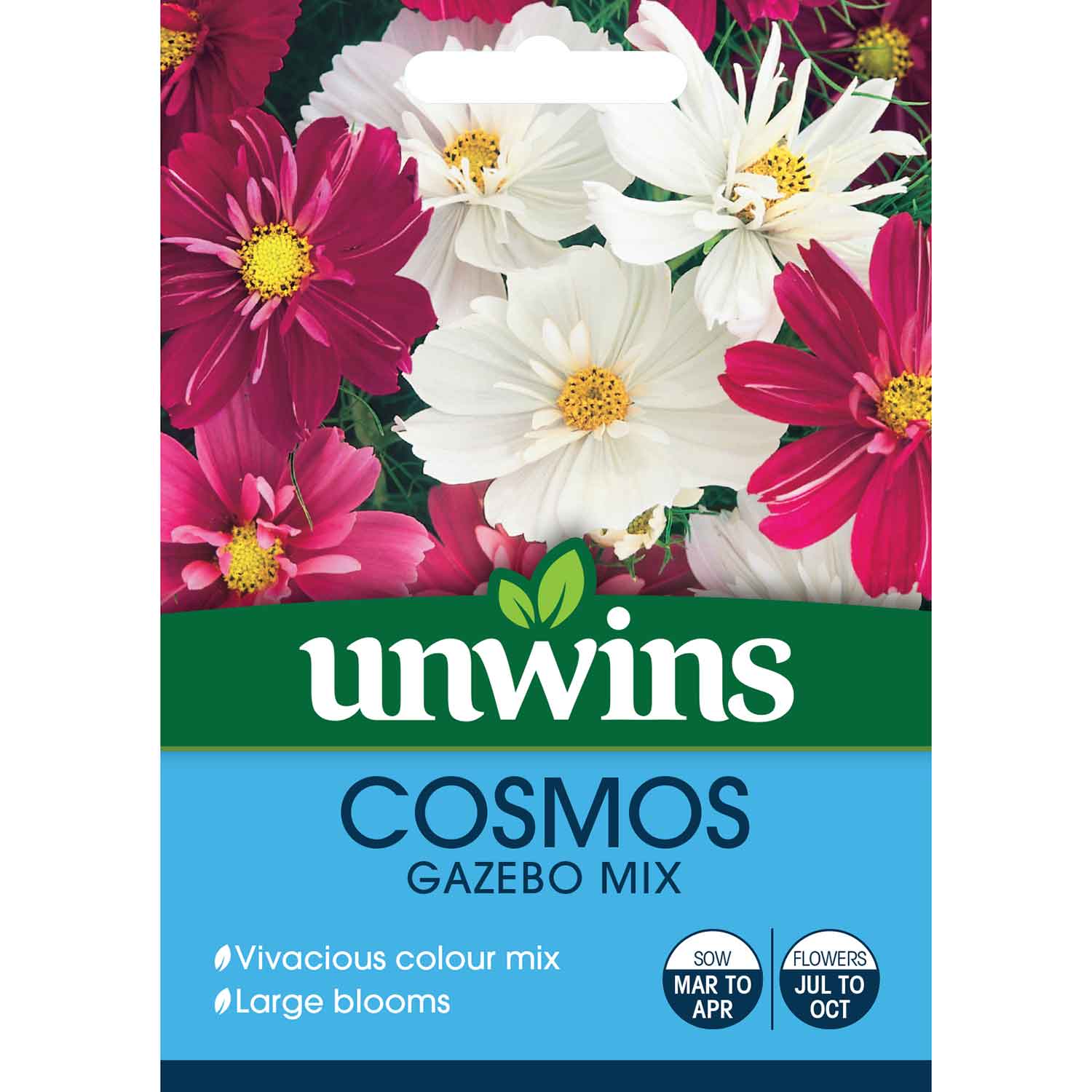 Cosmos Seeds 'Gazebo Mix' - Image 3