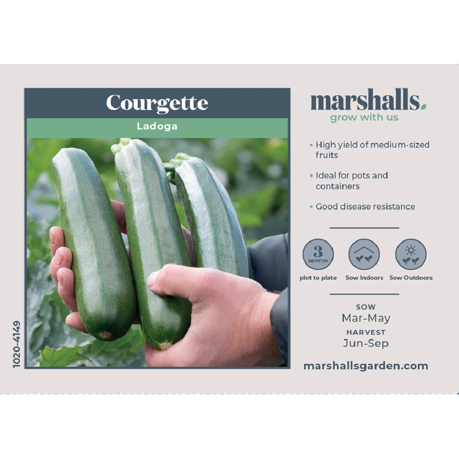 Courgette Seeds 'Ladoga' - Image 2