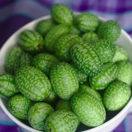 Cucamelon Seeds 'Mexican Gherkin' - Image 4