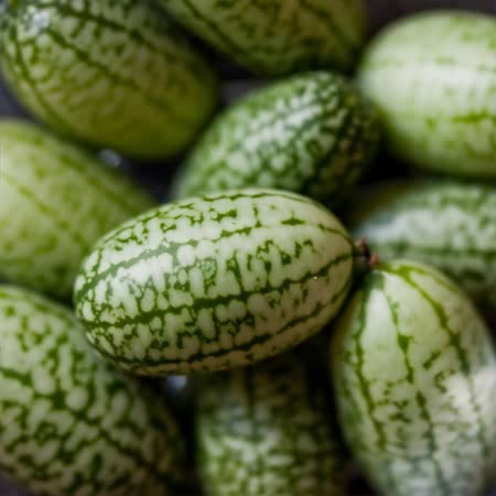 Cucamelon Seeds 'Mexican Gherkin' - Image 5
