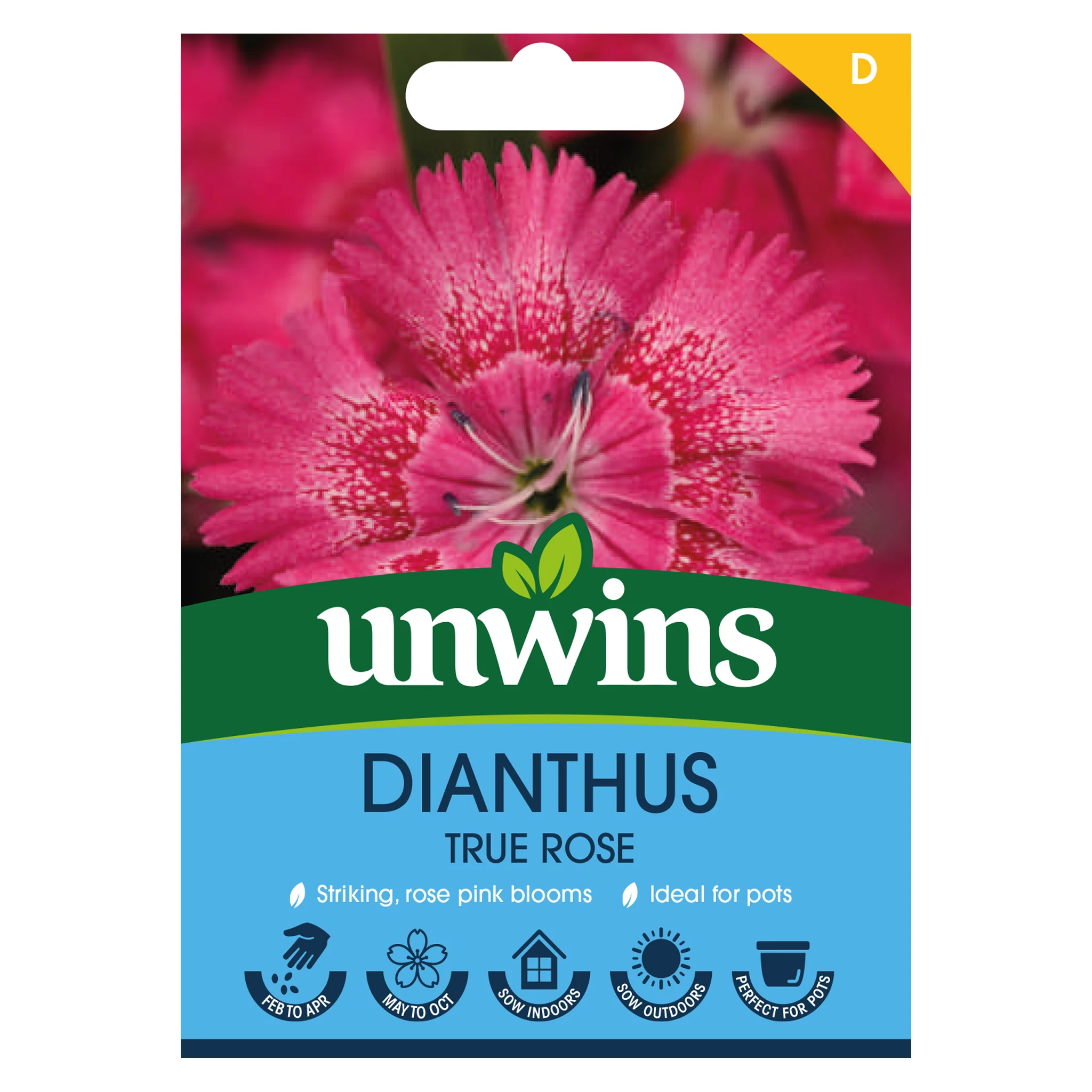 Dianthus Seeds 'True Rose' - Image 2