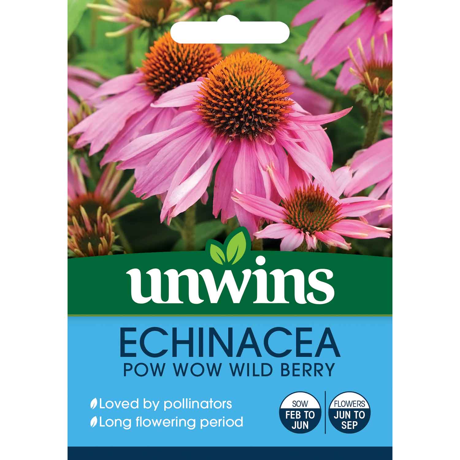 Echinacea Seeds 'Pow Wow Wild Berry' - Image 2