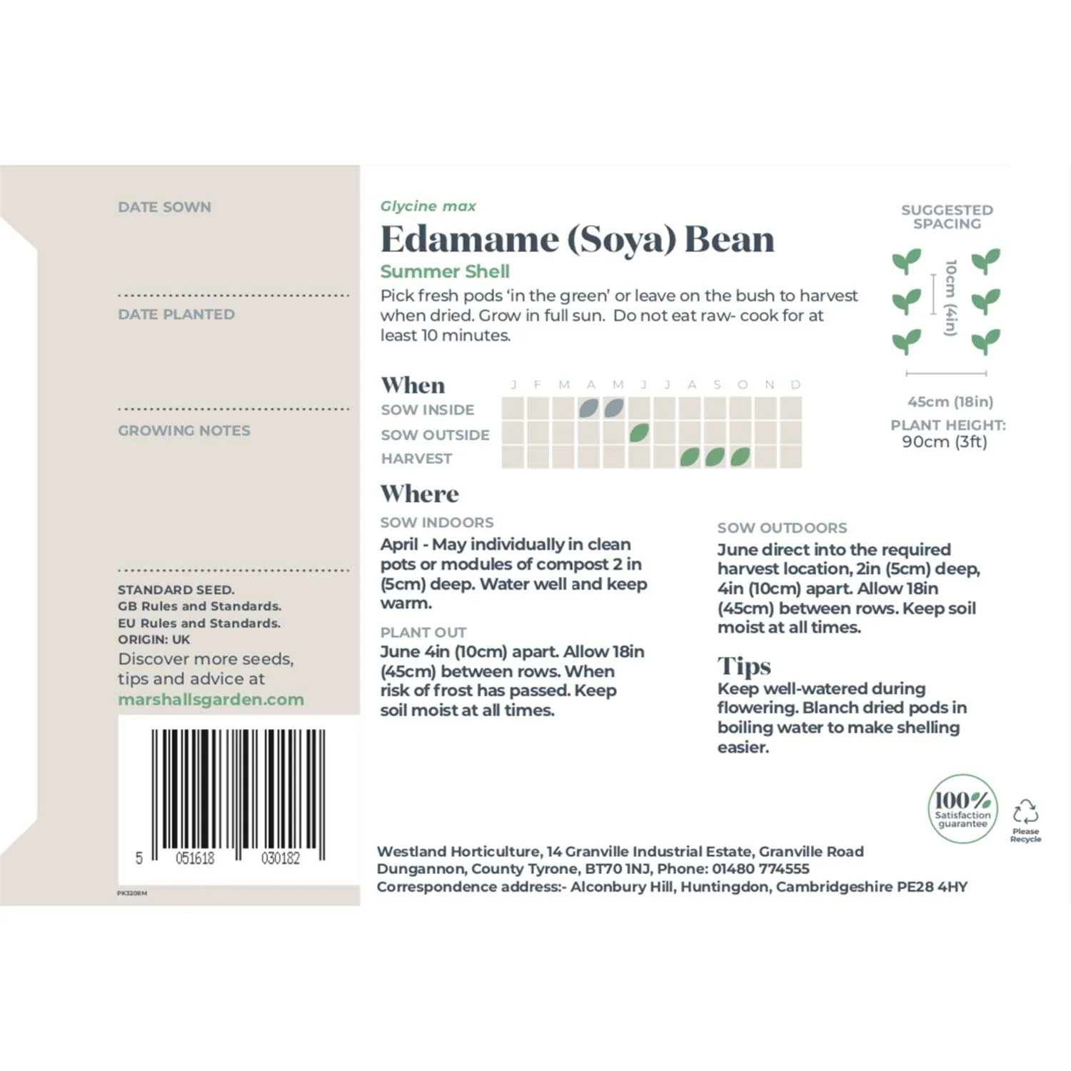Edamame (Soya) Bean Seeds 'Summer Shell' - Image 3