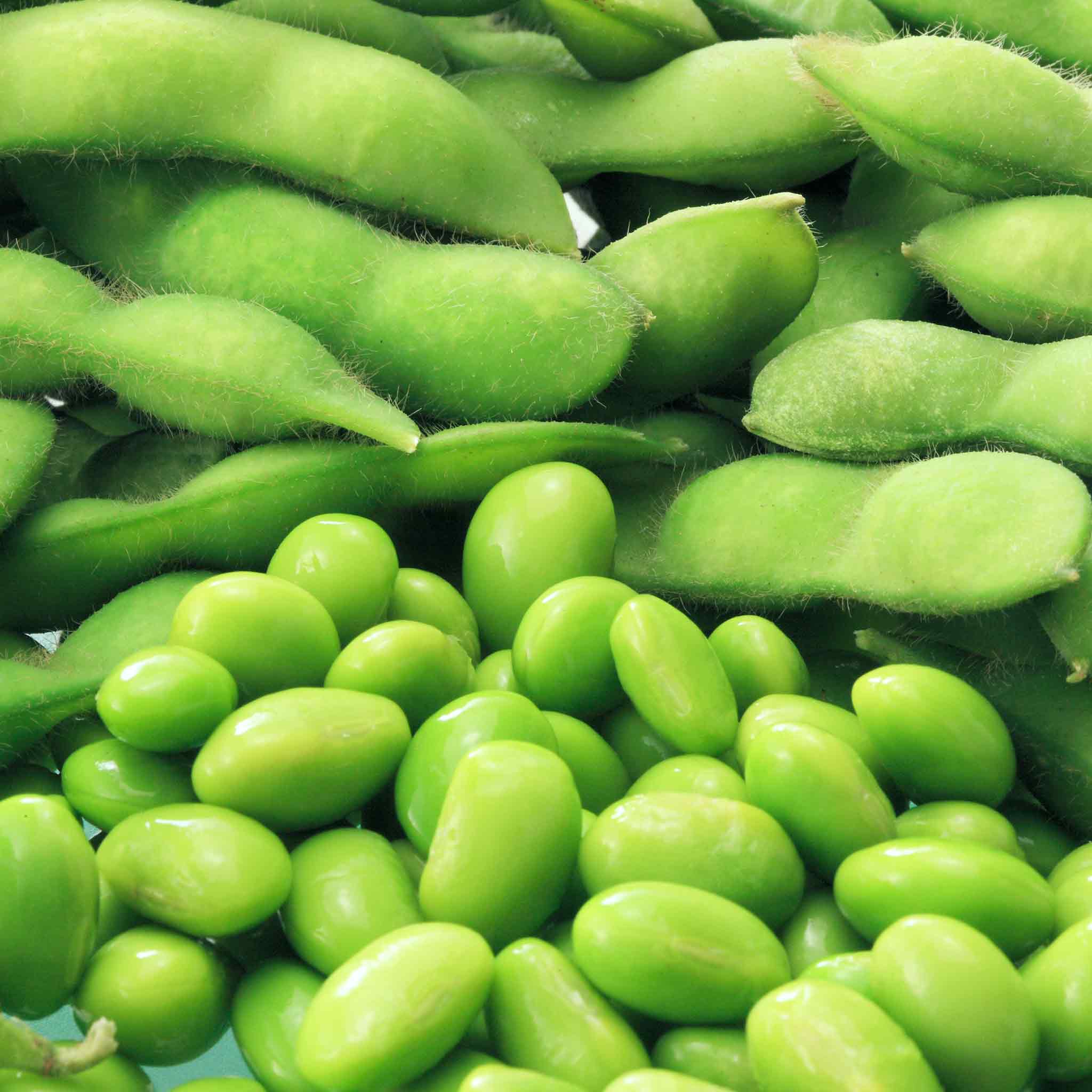 Edamame (Soya) Bean Seeds 'Summer Shell' - Image 6