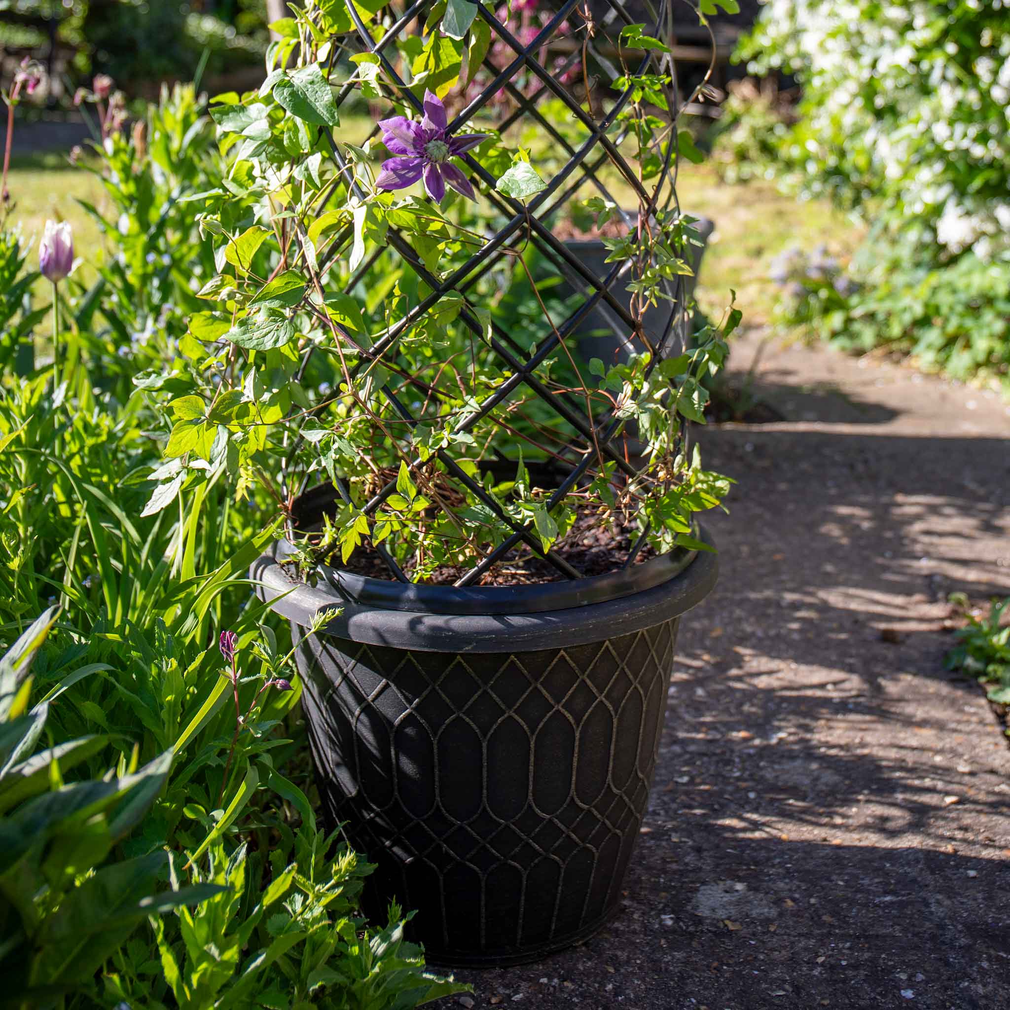 Empire Jumbo Trellis Planter in Brushed Champagne - Image 2