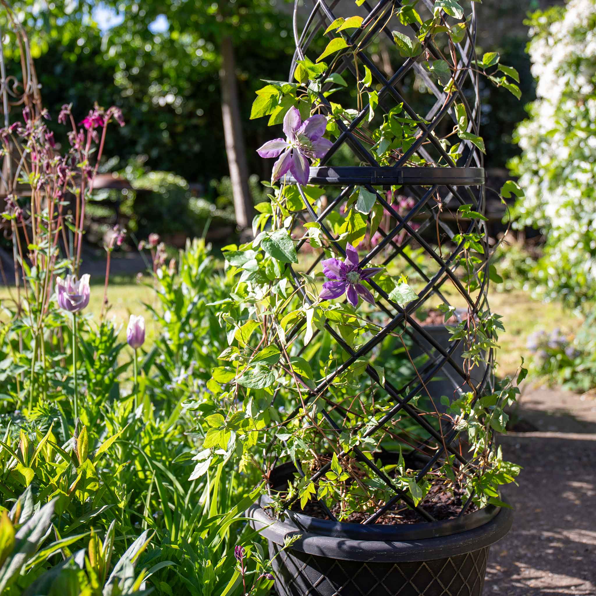 Empire Jumbo Trellis Planter in Brushed Champagne - Image 9