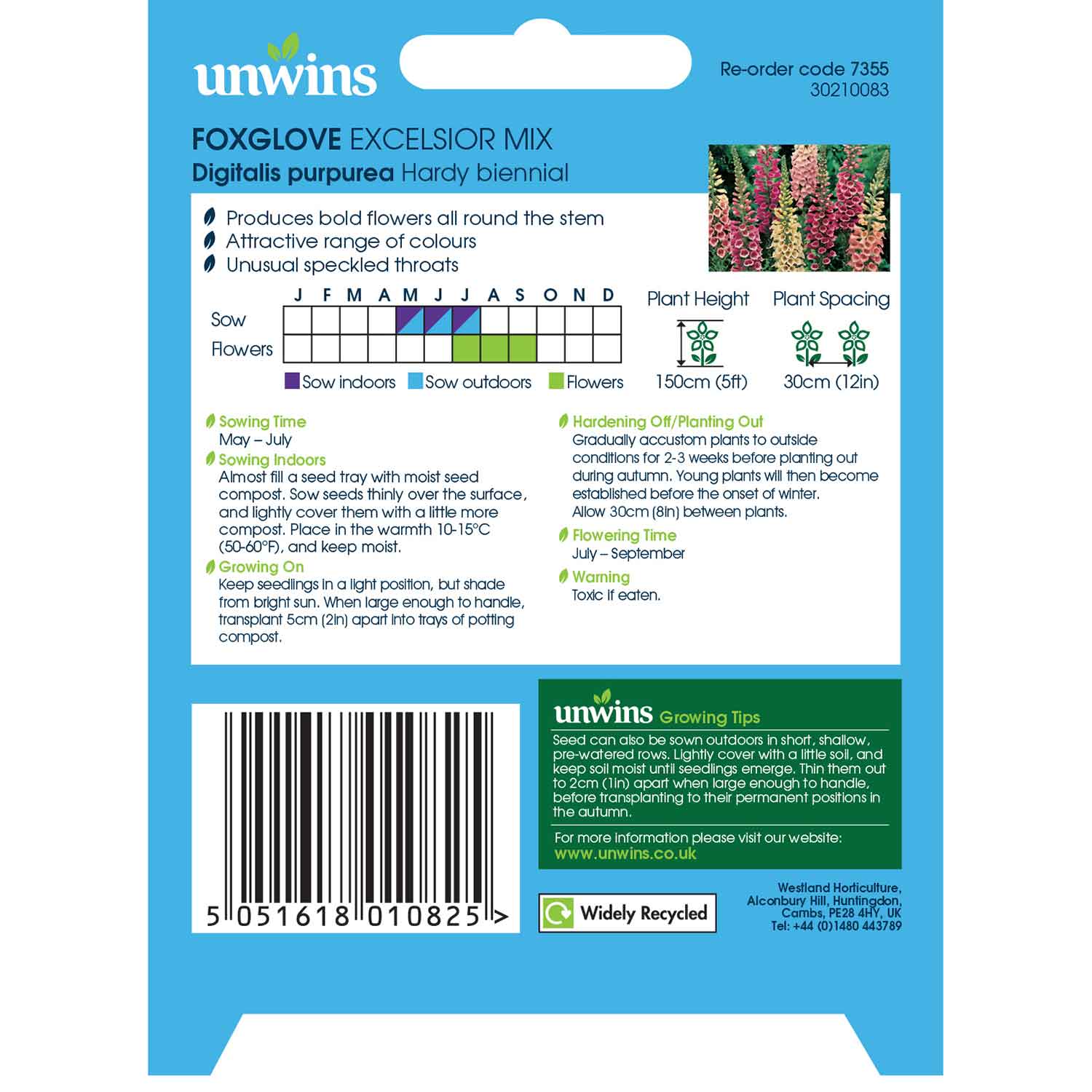 Foxglove Seeds 'Excelsior Mix' - Image 3