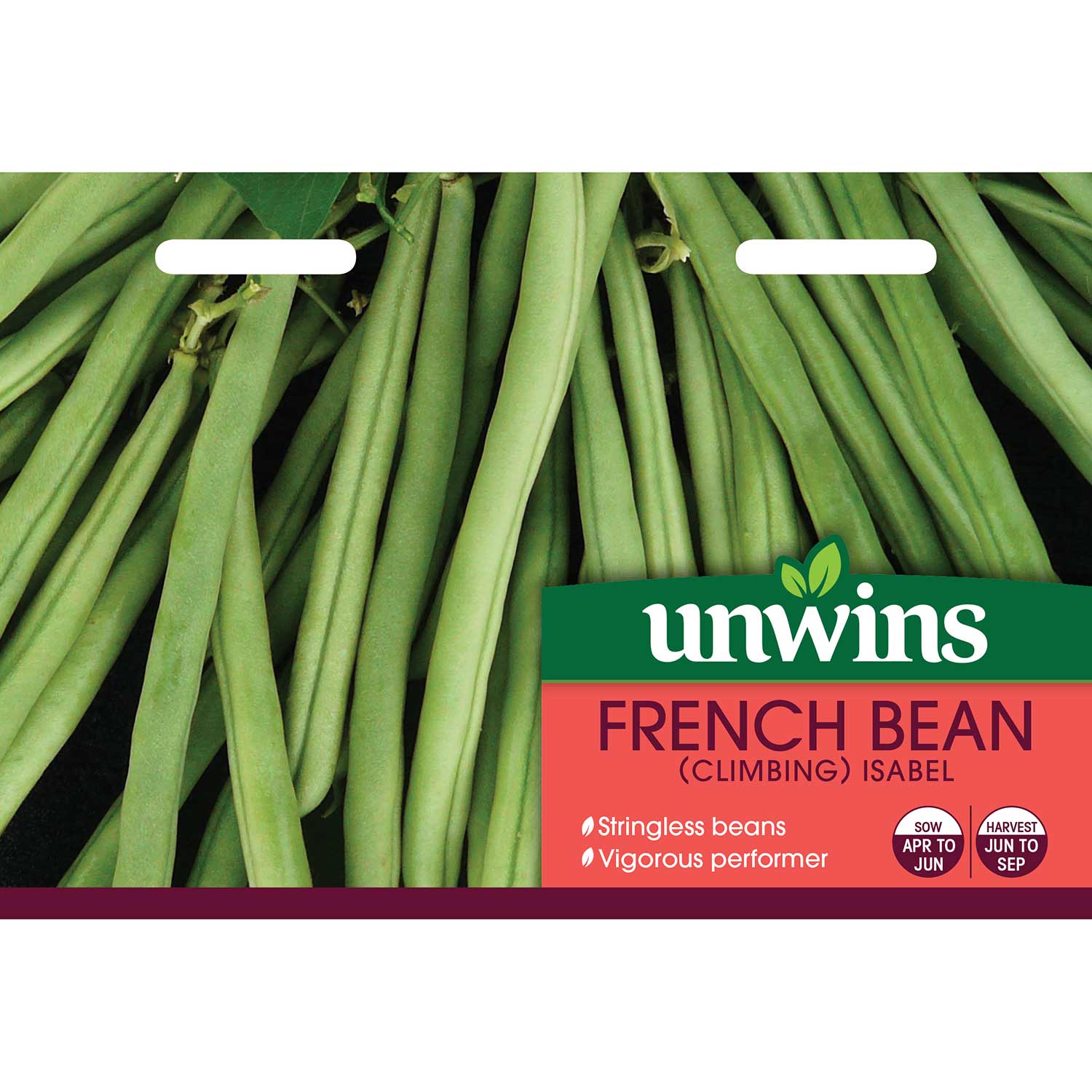French Bean Climbing Seeds 'Isabel' - Image 3