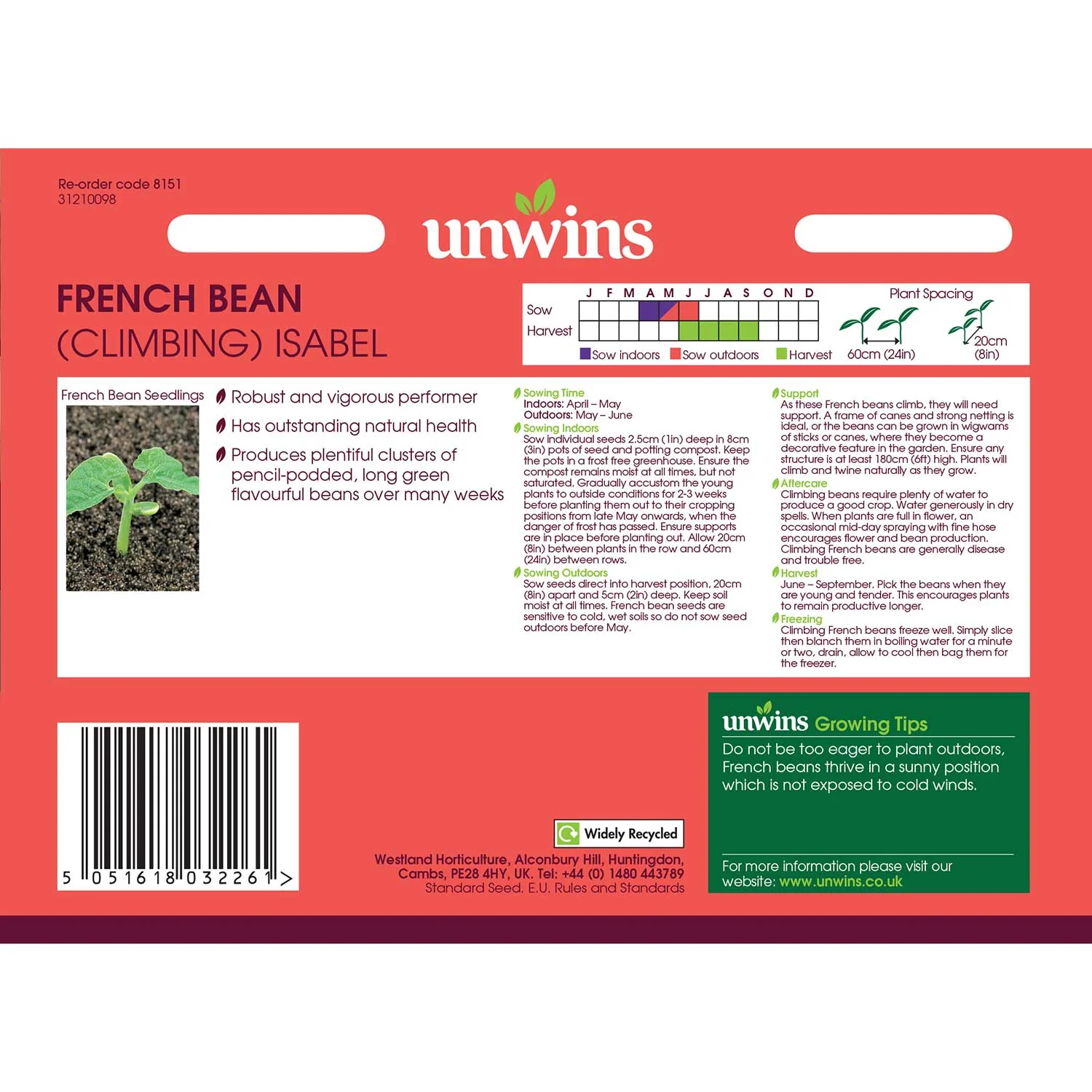 French Bean Climbing Seeds 'Isabel' - Image 4