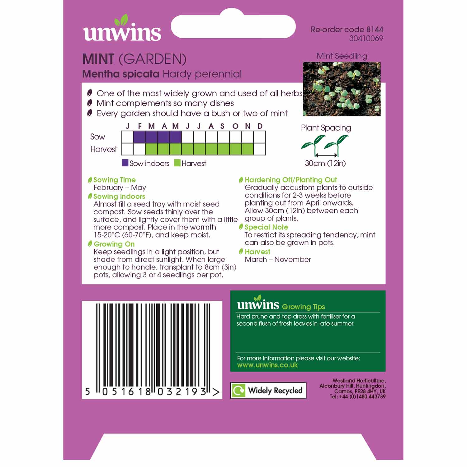 Unwins Garden Mint Seeds - Image 5