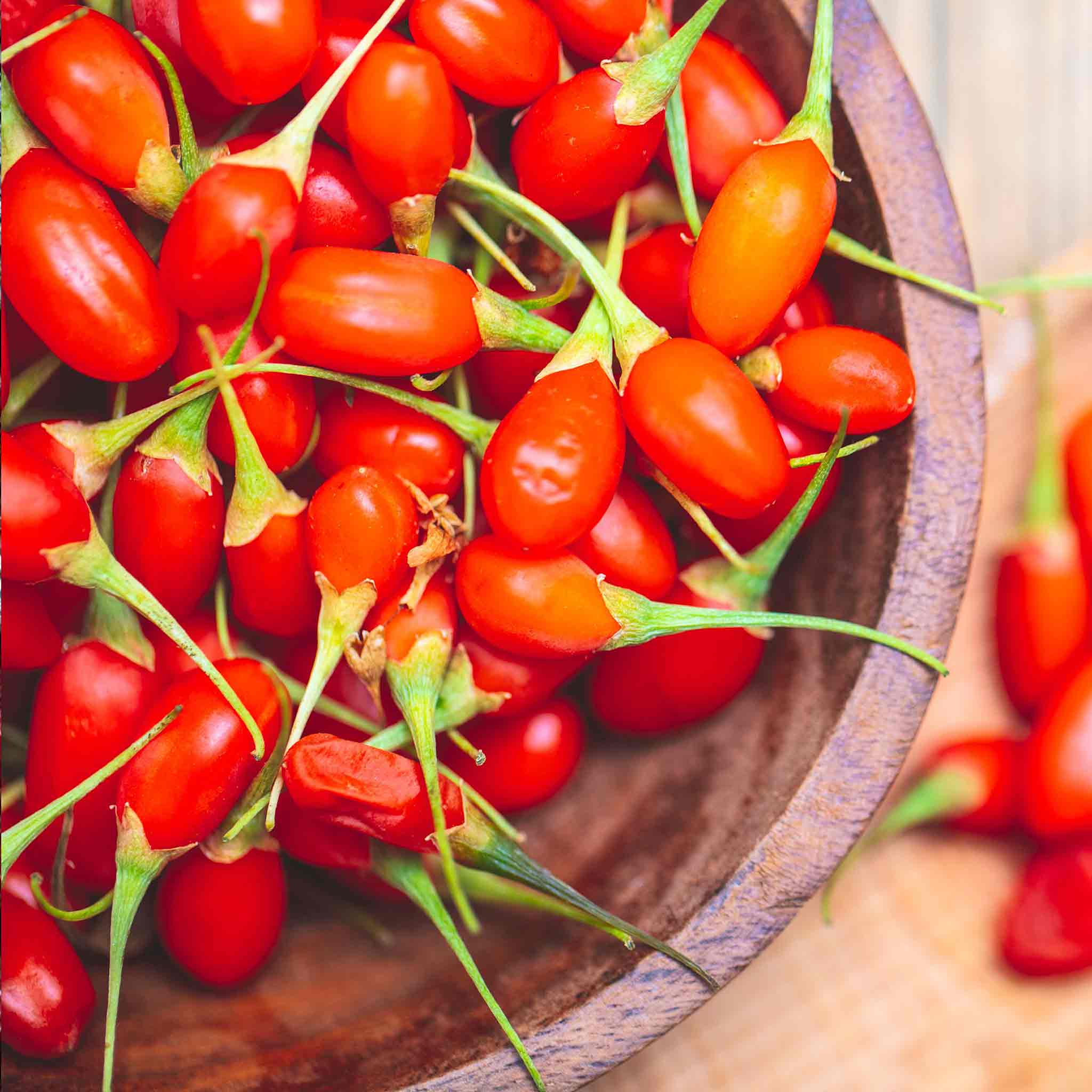 Goji Berry Plant - Image 3